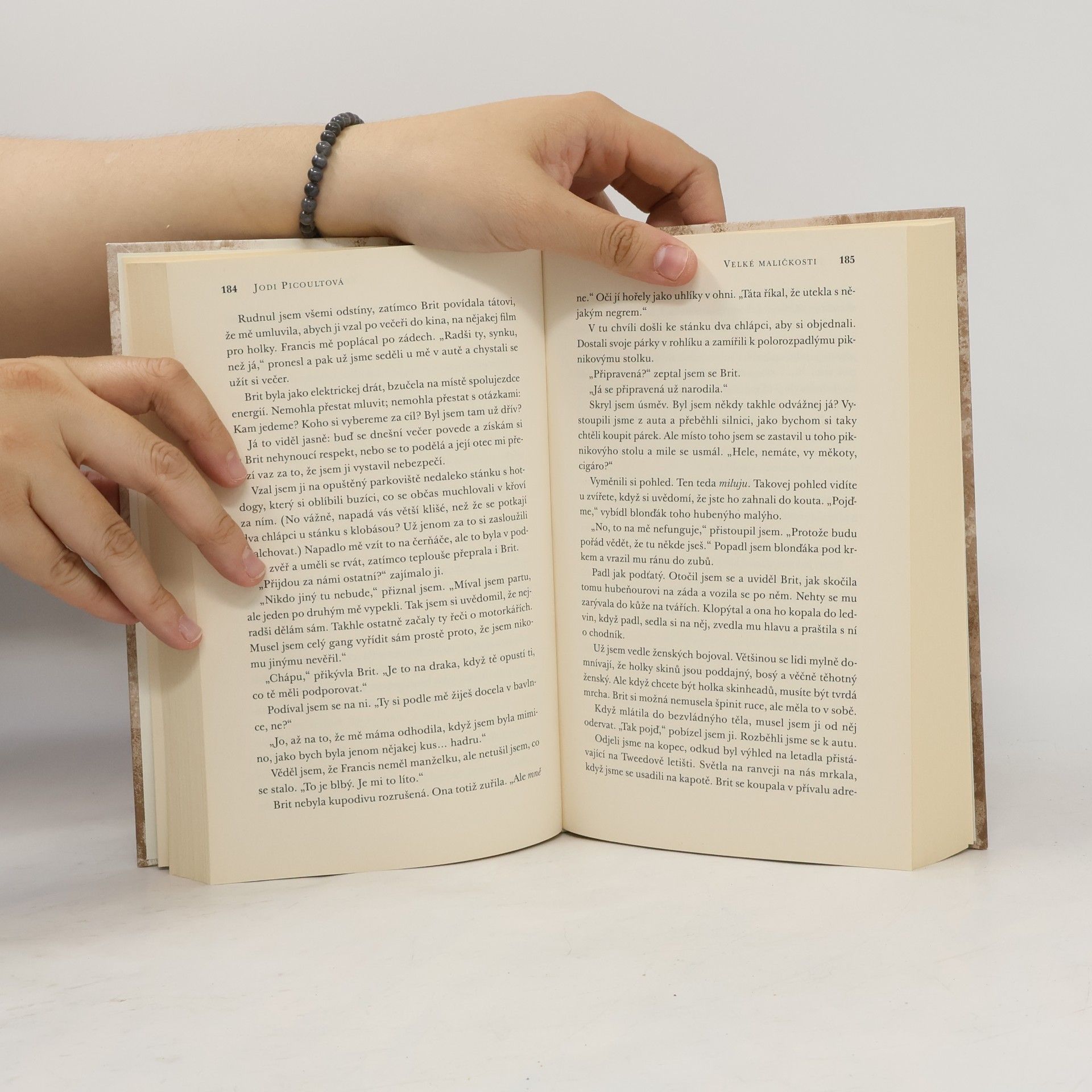 Jodi Picoult Velké maličkosti