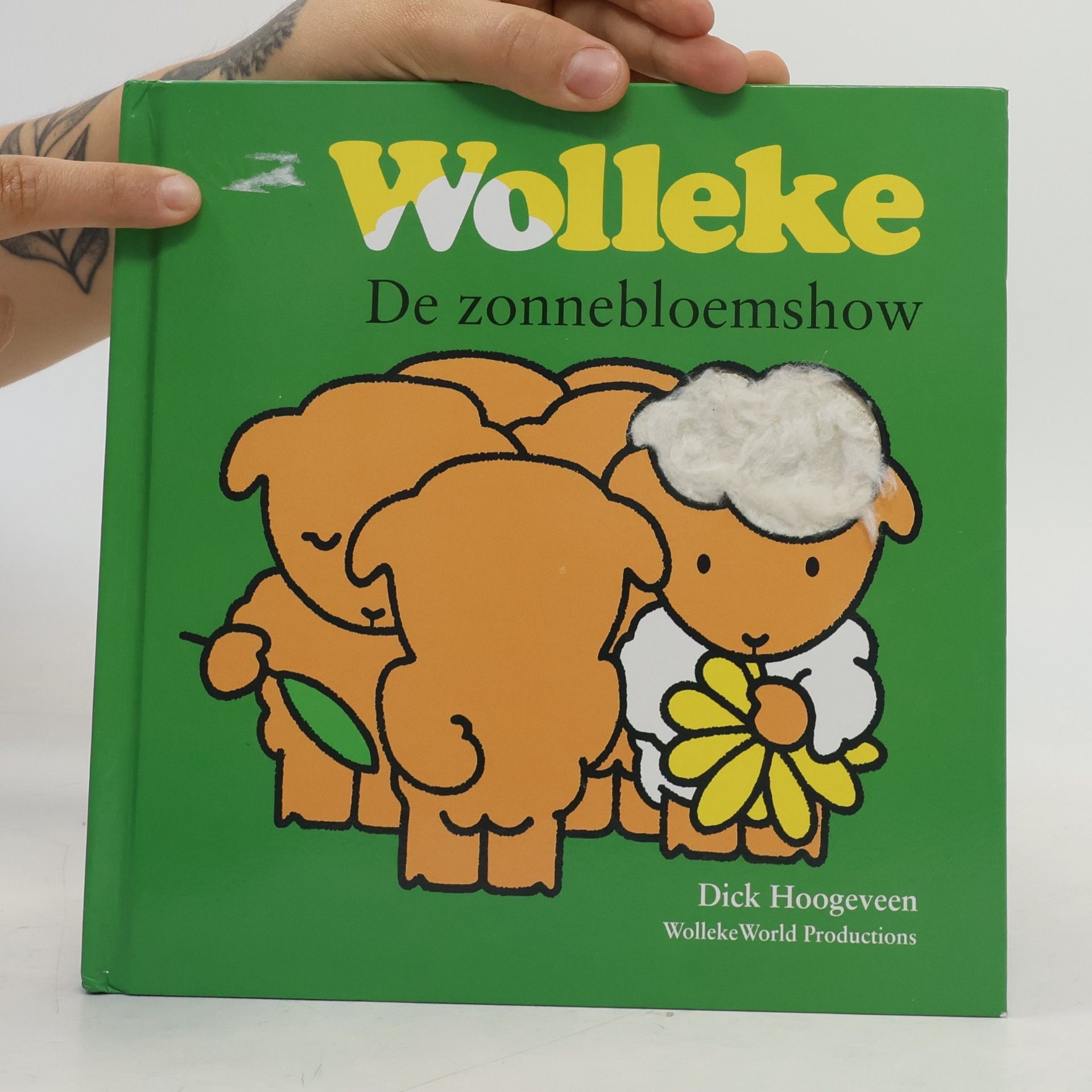 Dick Hoogeveen Wolleke