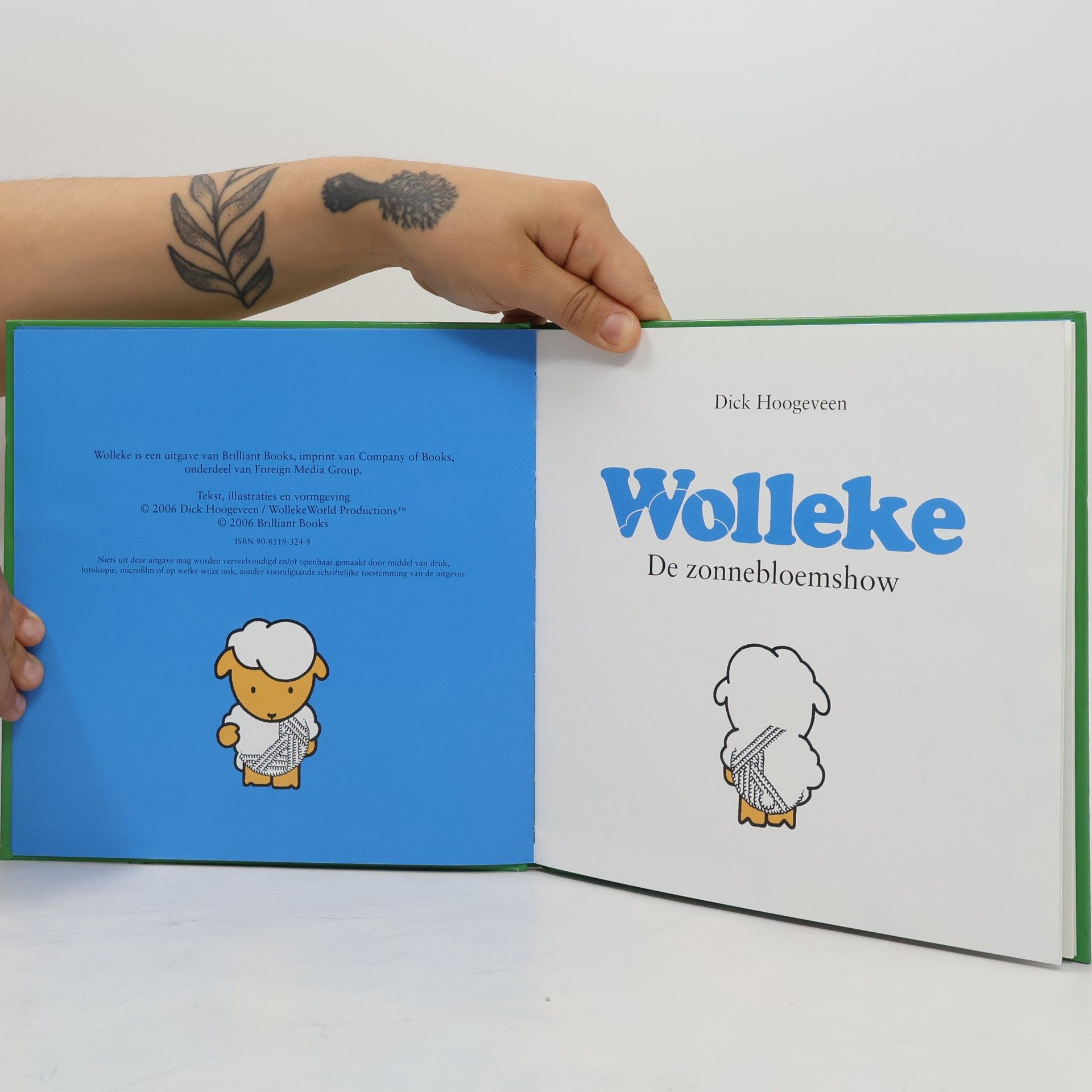Dick Hoogeveen Wolleke