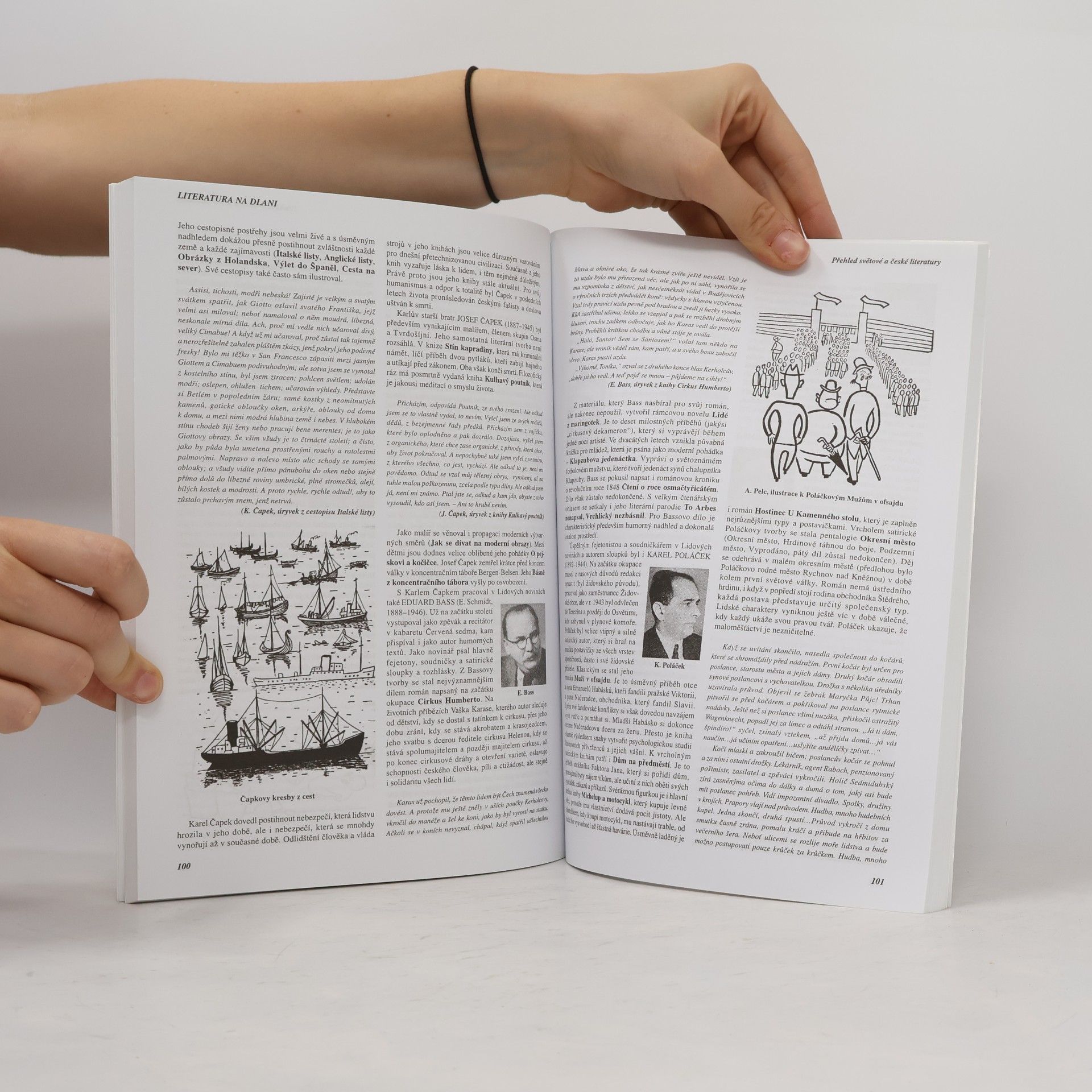 Alois Bauer Literatura na dlani : přehled světové a české literatury s ukázkami textů