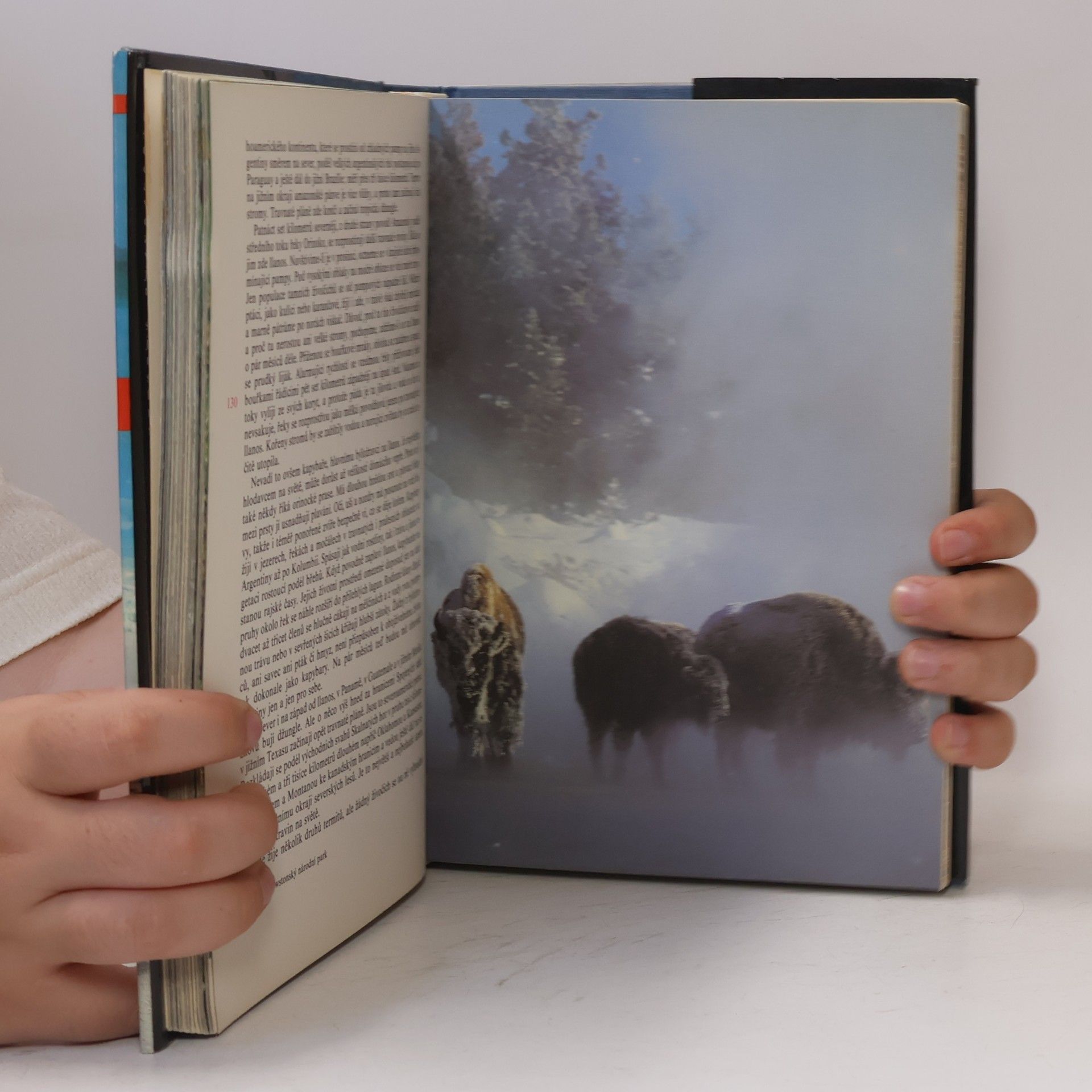 David Attenborough Planeta žije