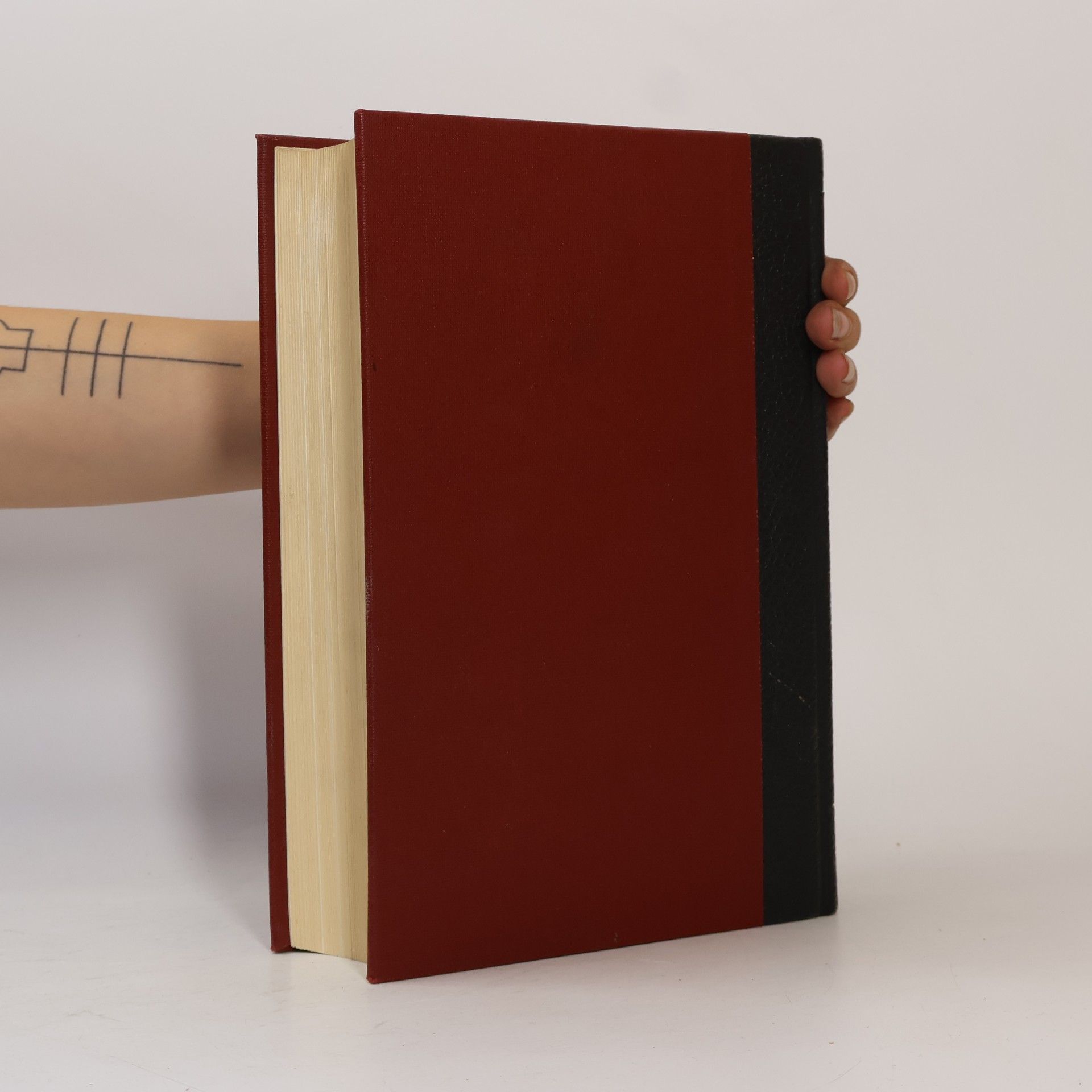 AA.VV. Brockhaus Enzyklopädie 8. H-IK