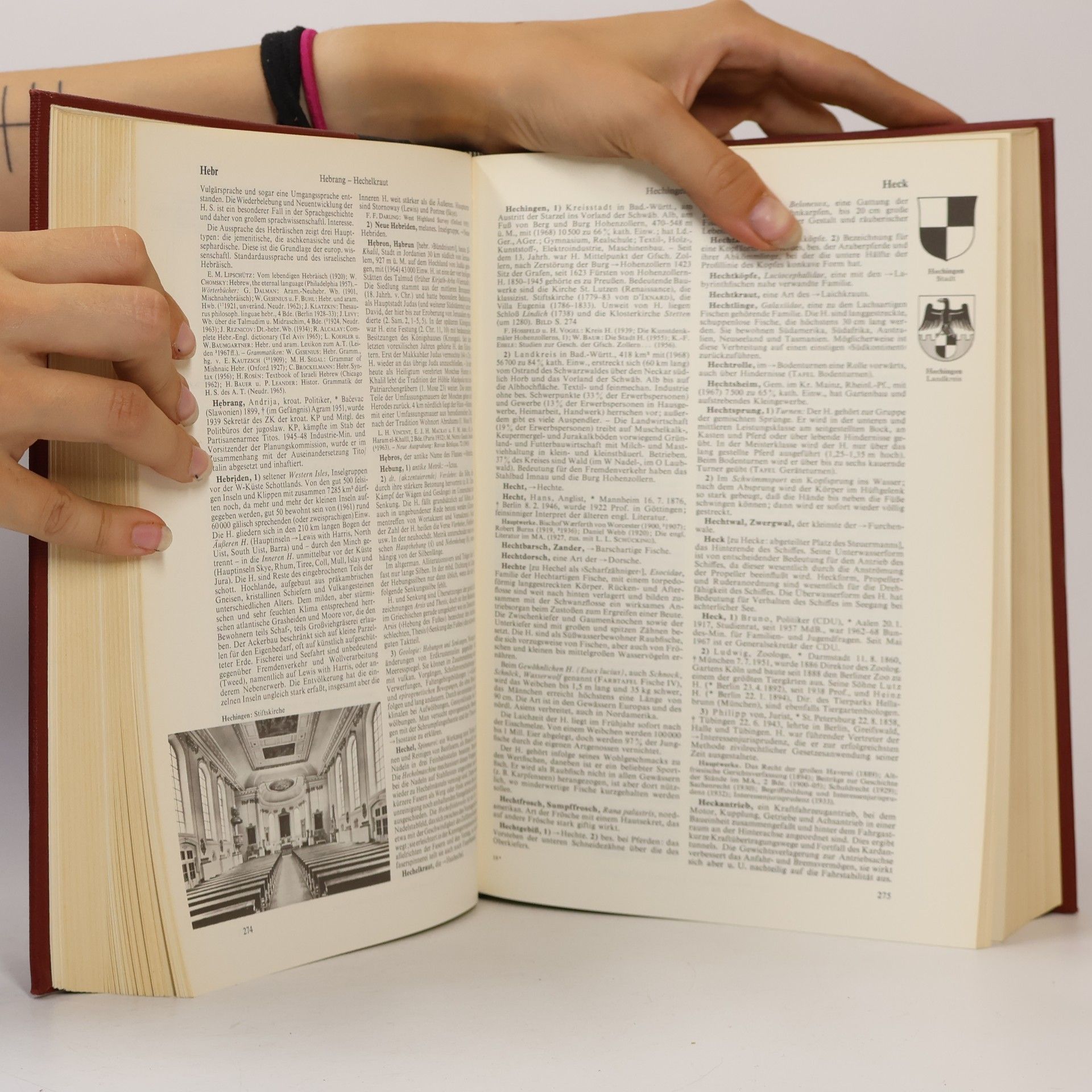 AA.VV. Brockhaus Enzyklopädie 8. H-IK