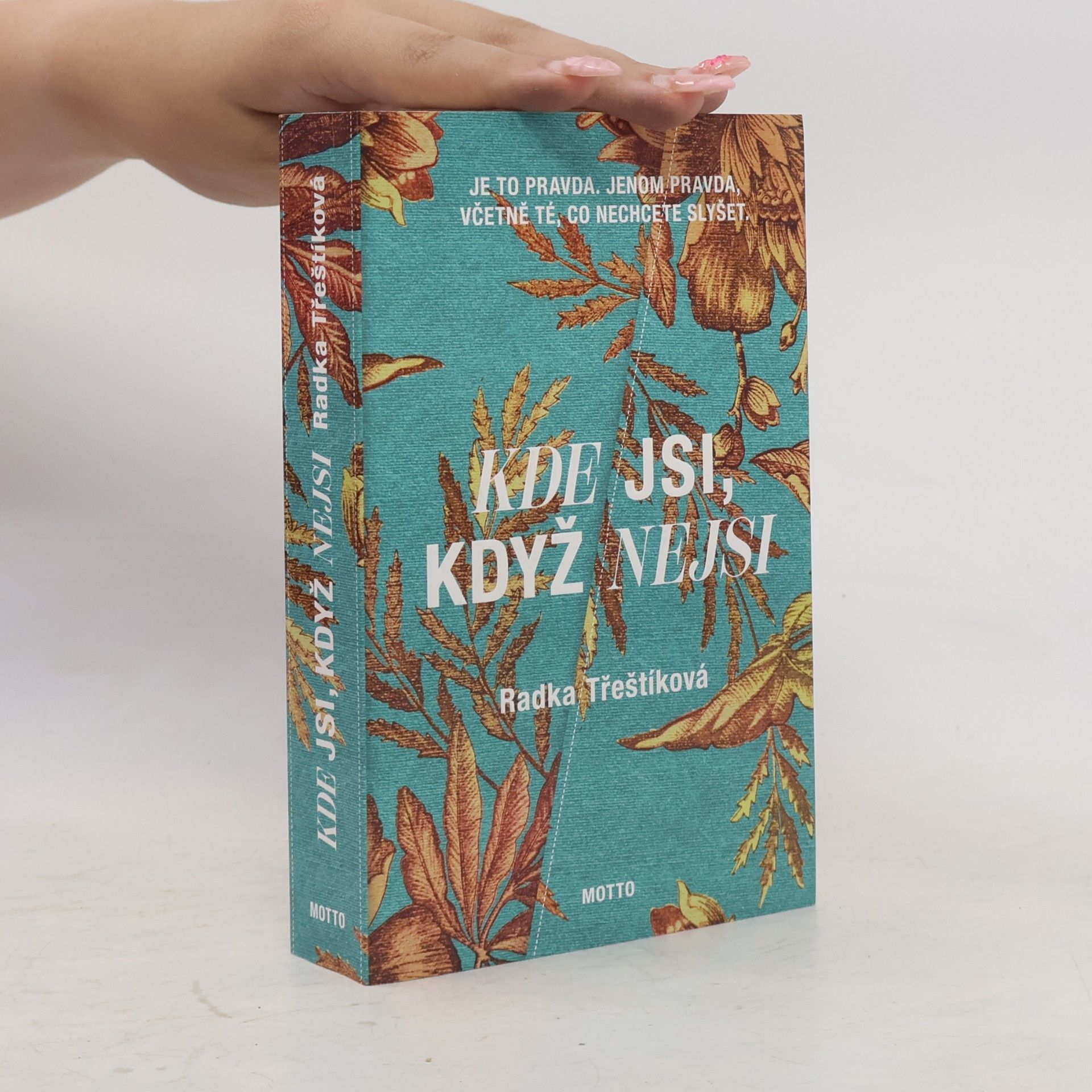 Radka Třeštíková Kde jsi, když nejsi