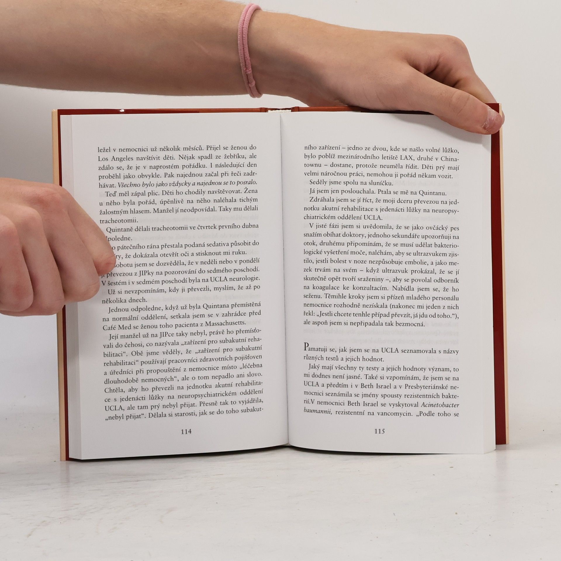 Joan Didion Víc než další den