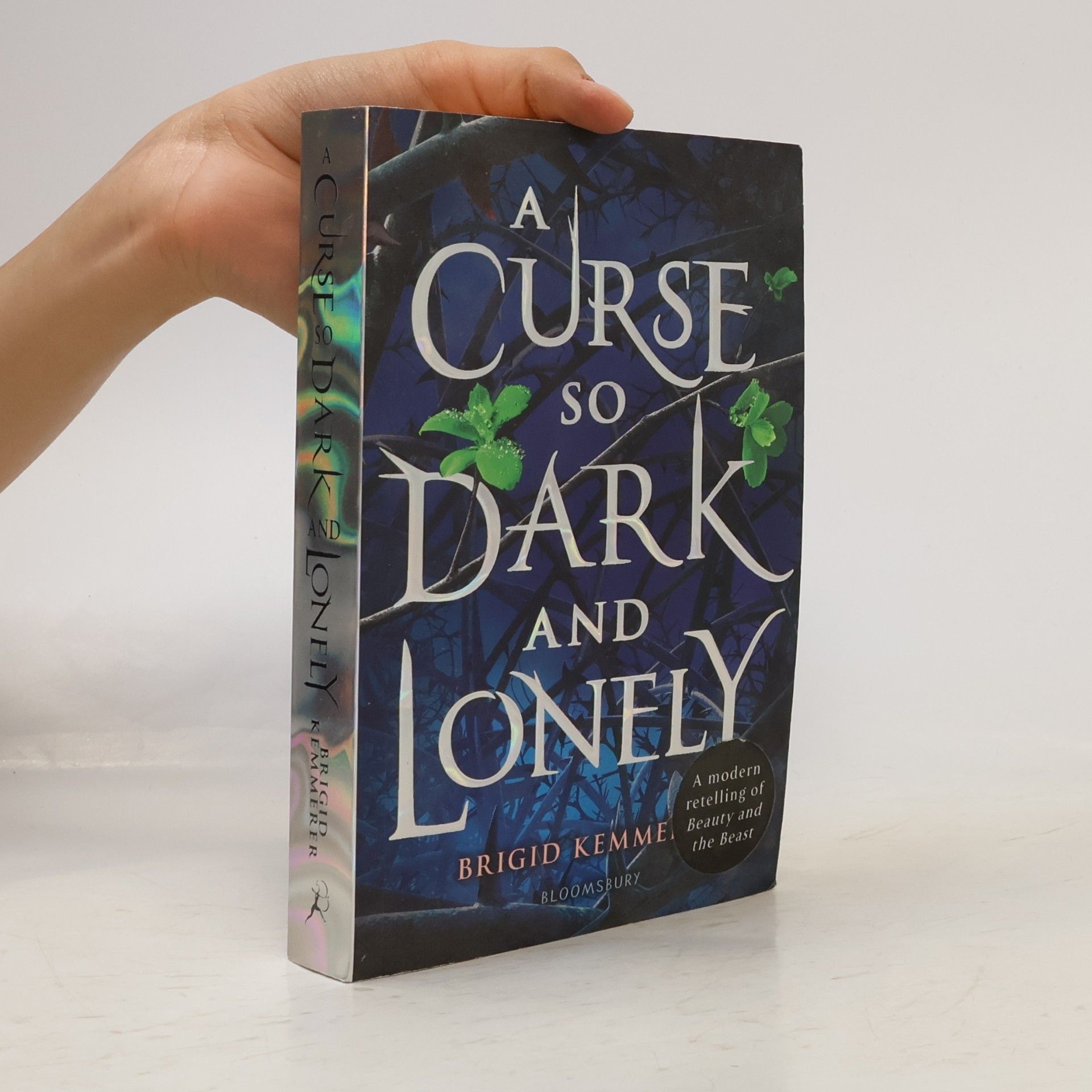 Brigid Kemmerer A curse so dark and lonely (1. díl série)