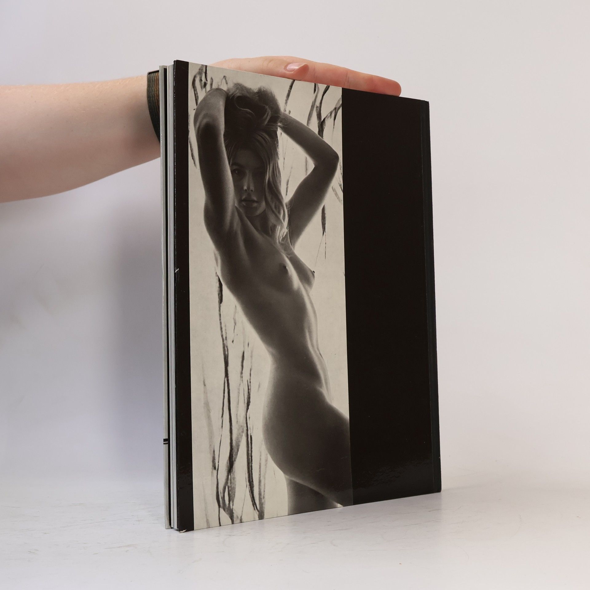 Collectif d'auteurs Akt 65