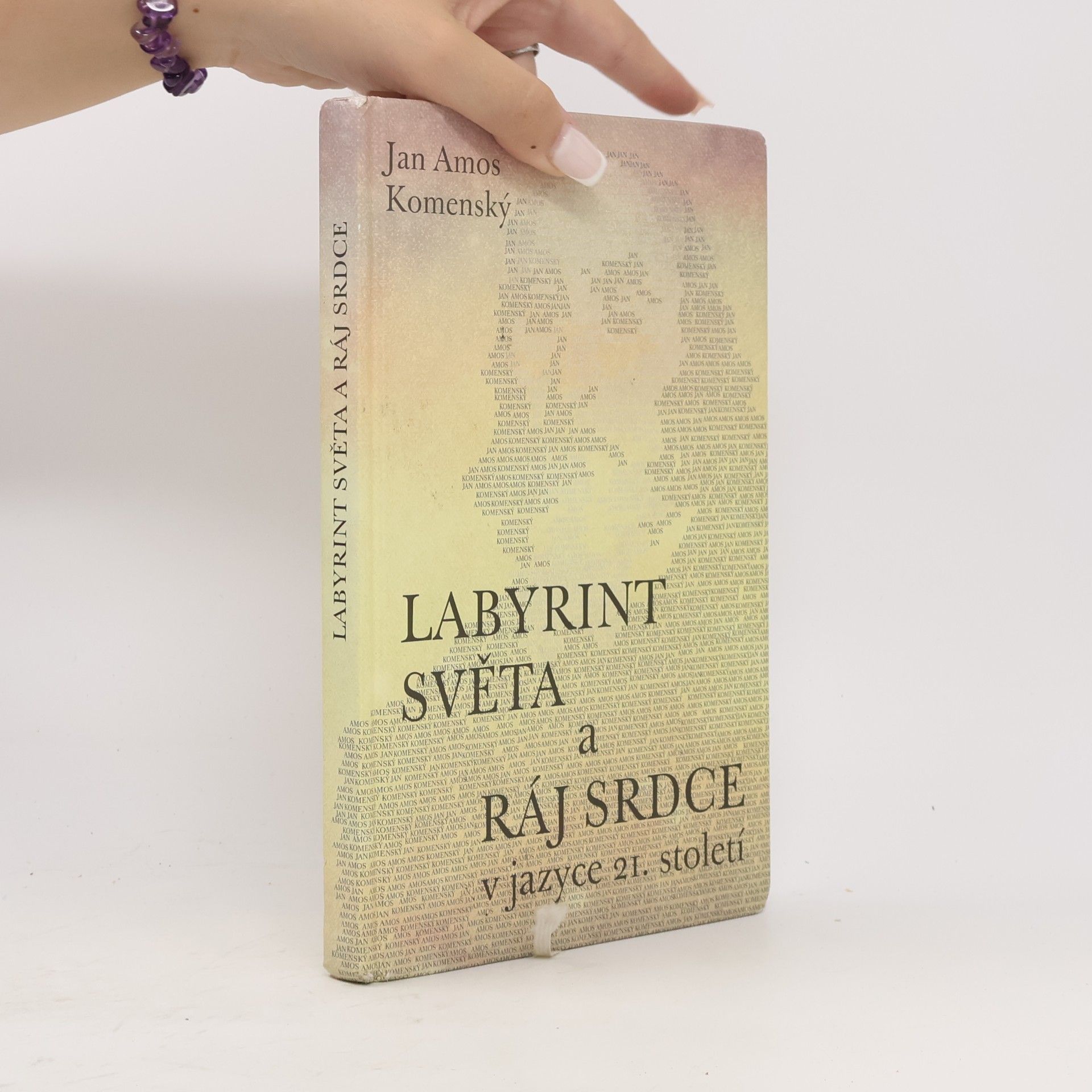 Jan Amos Komenský Labyrint světa a ráj srdce