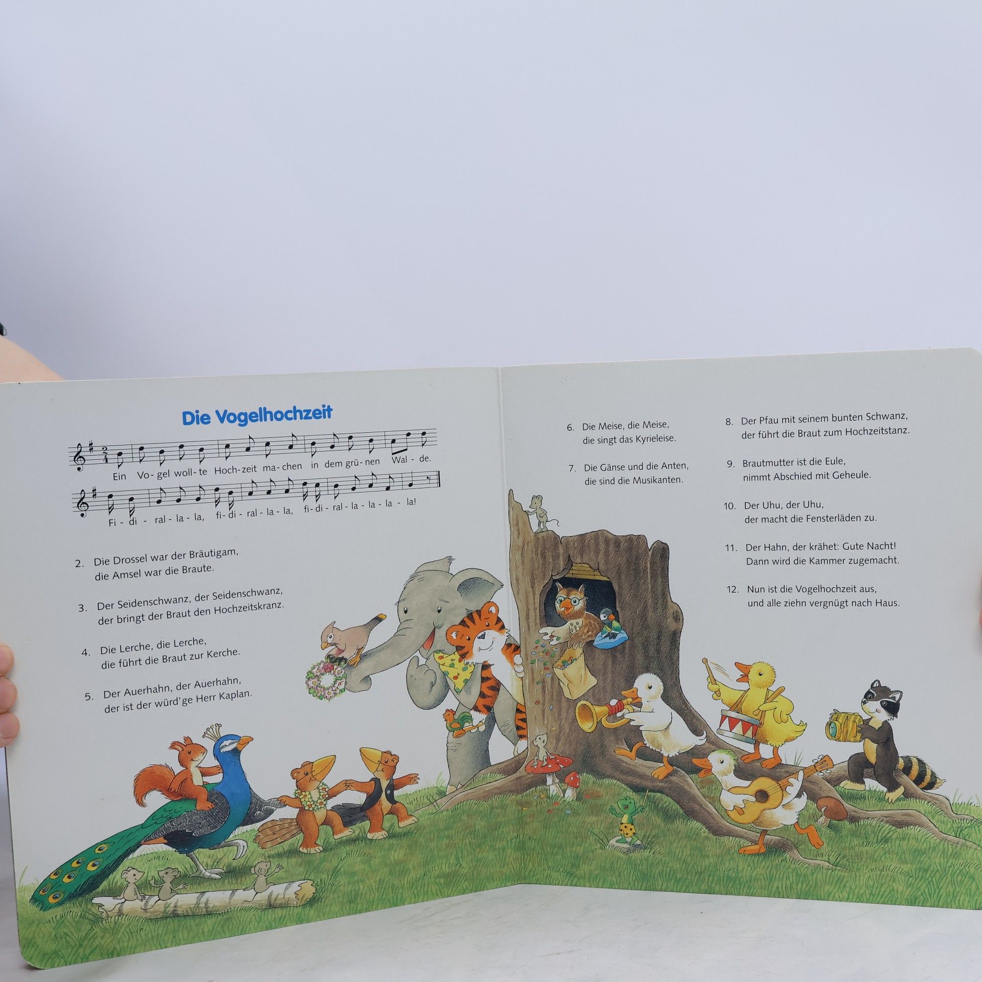 Kolektiv autorů Meine ersten Kinderlieder