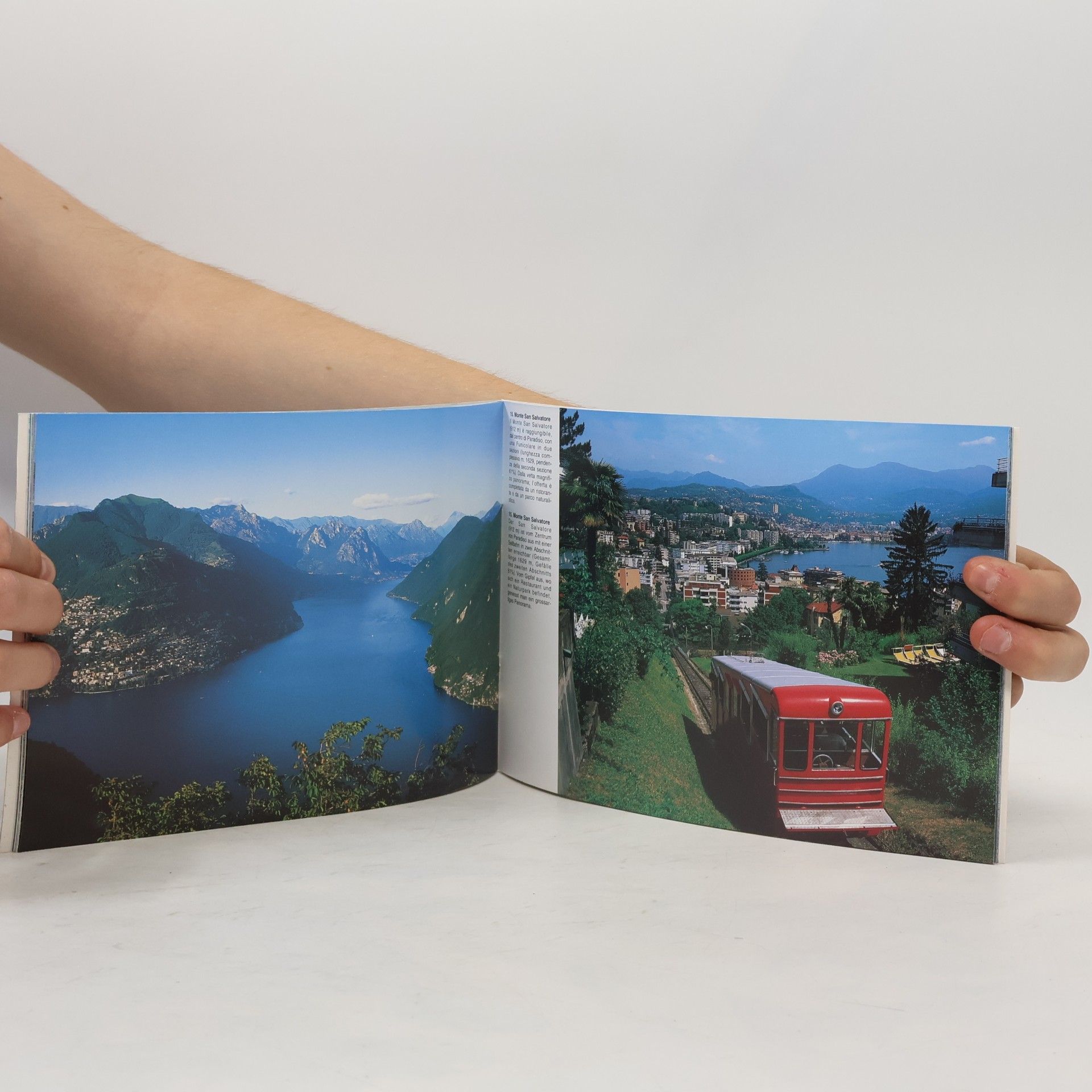 Dino Sassi Lugano ed il suo lago