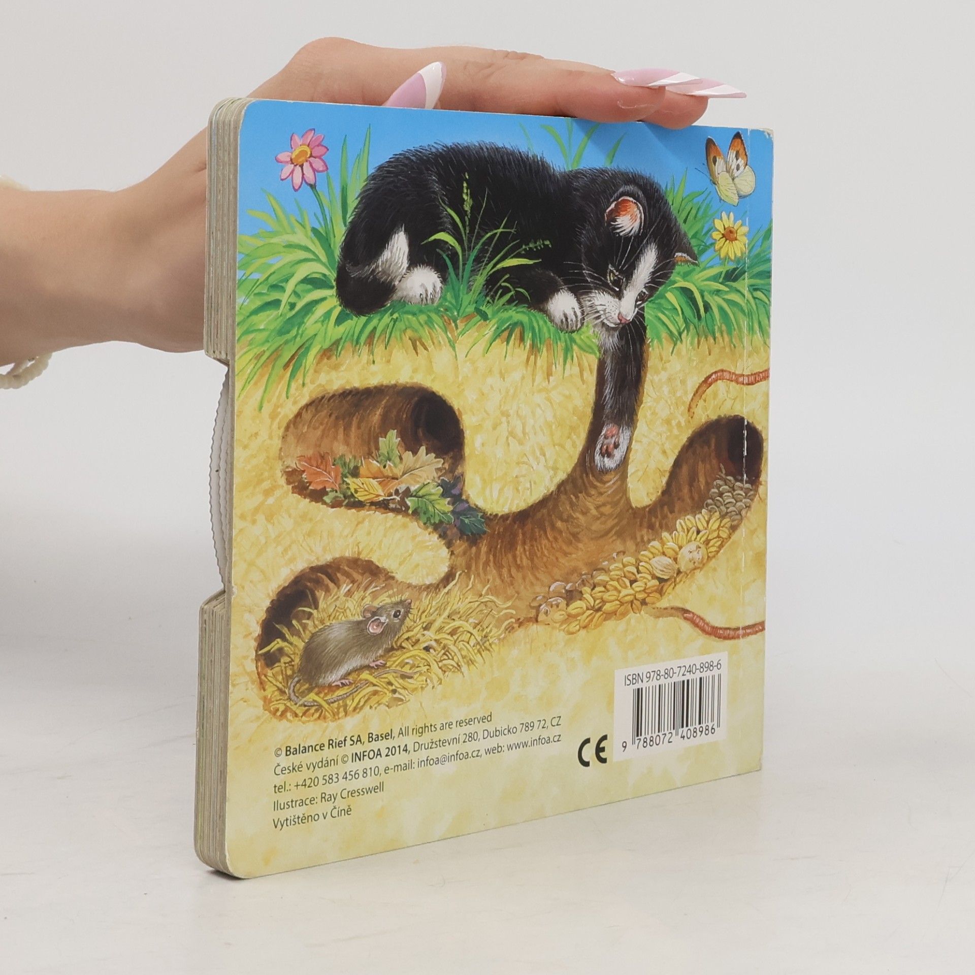 Various authors Hra na schovávanou s myšákem a kotětem