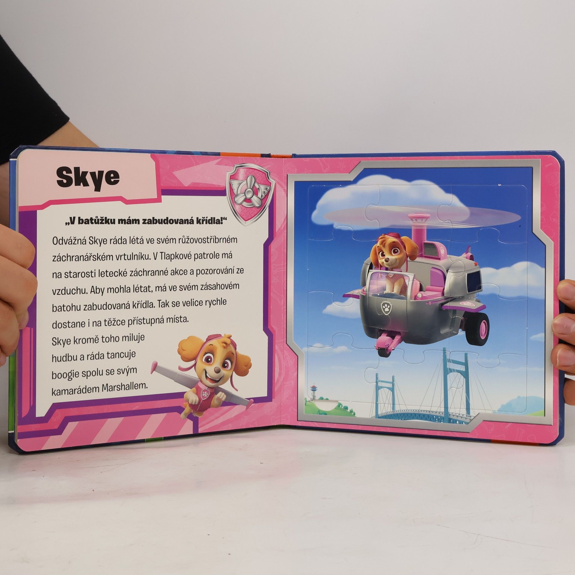 kolektiv Paw Patrol. Puzzlebuch