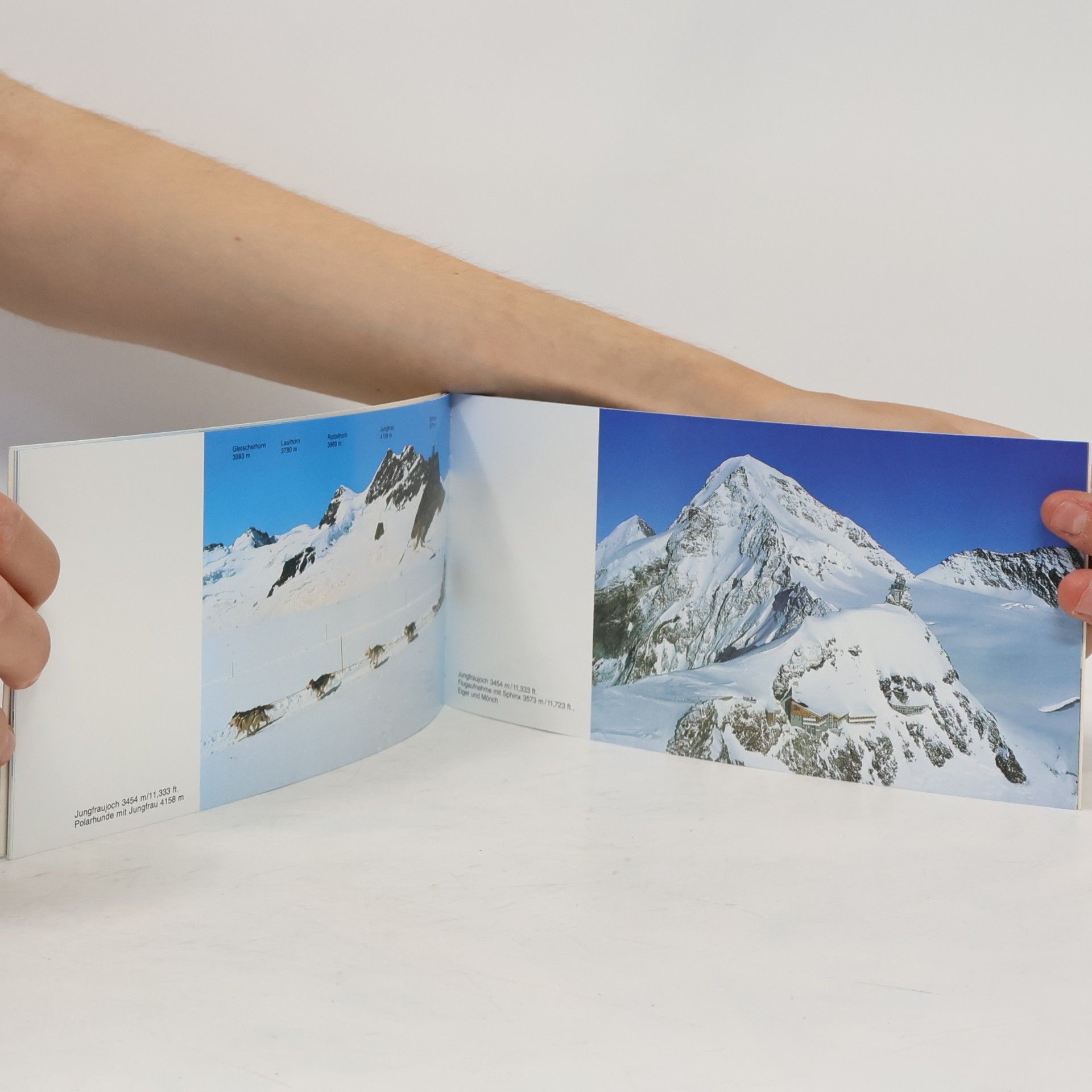 Various authors Kleine Scheidegg Jungfraujoch