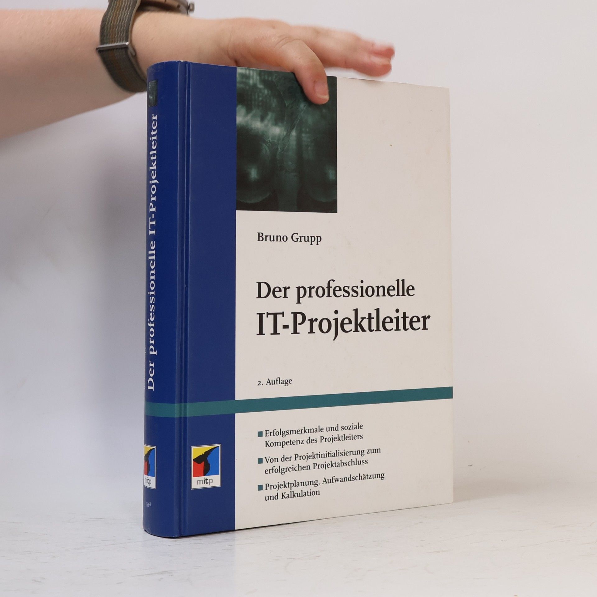 Bruno Grupp Der professionelle IT-Projektleiter