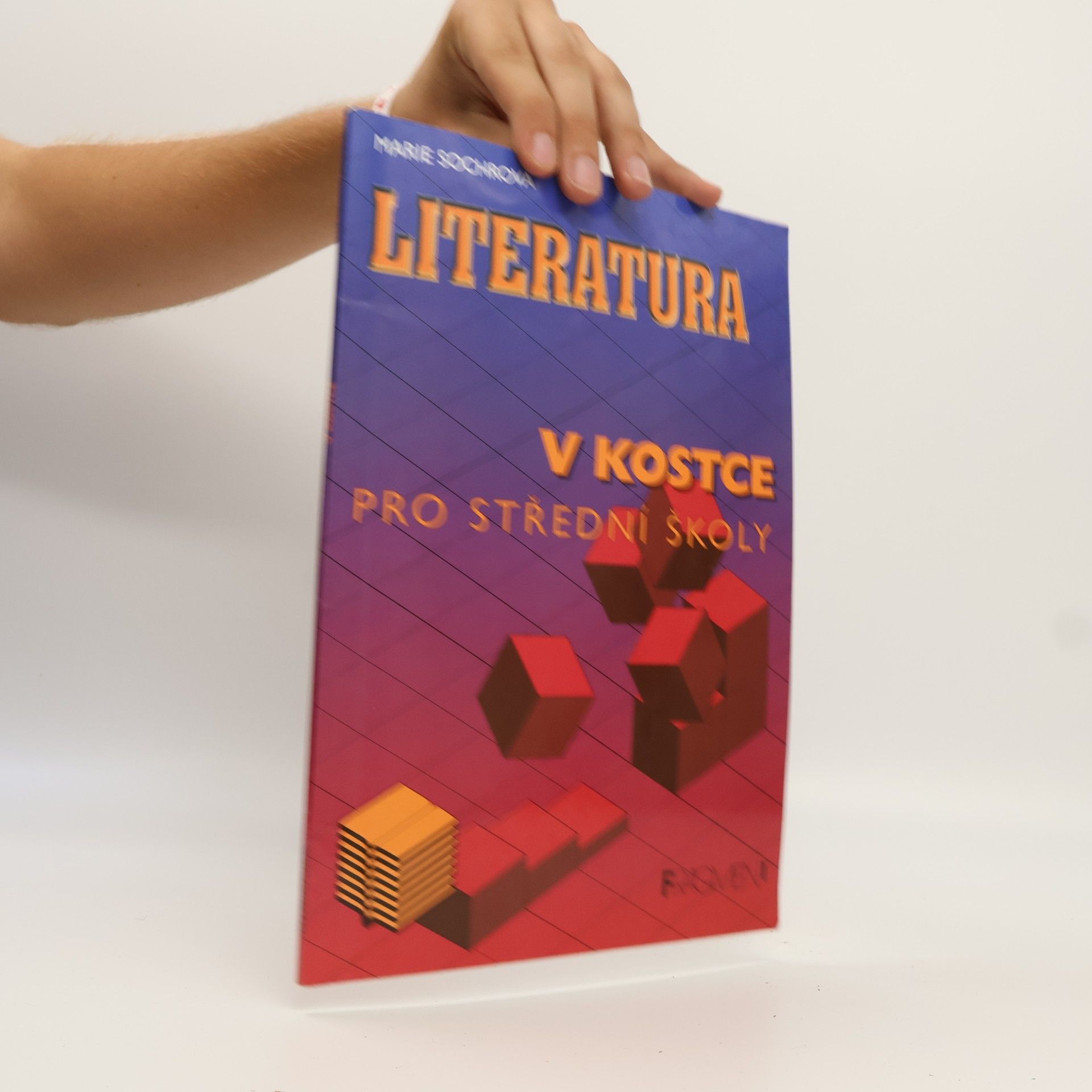 Marie Sochrová Literatura v kostce pro střední školy