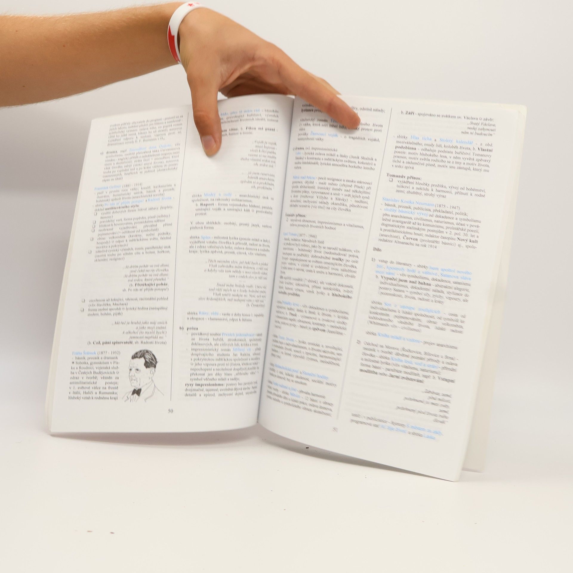 Marie Sochrová Literatura v kostce pro střední školy
