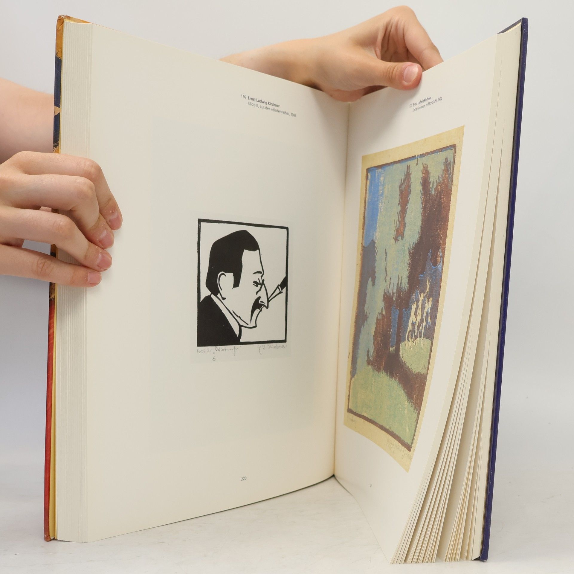 Magdalena M. Moeller Die Brucke. Zeichnungen. Aquarelle. Druckgraphik- Expressionisten