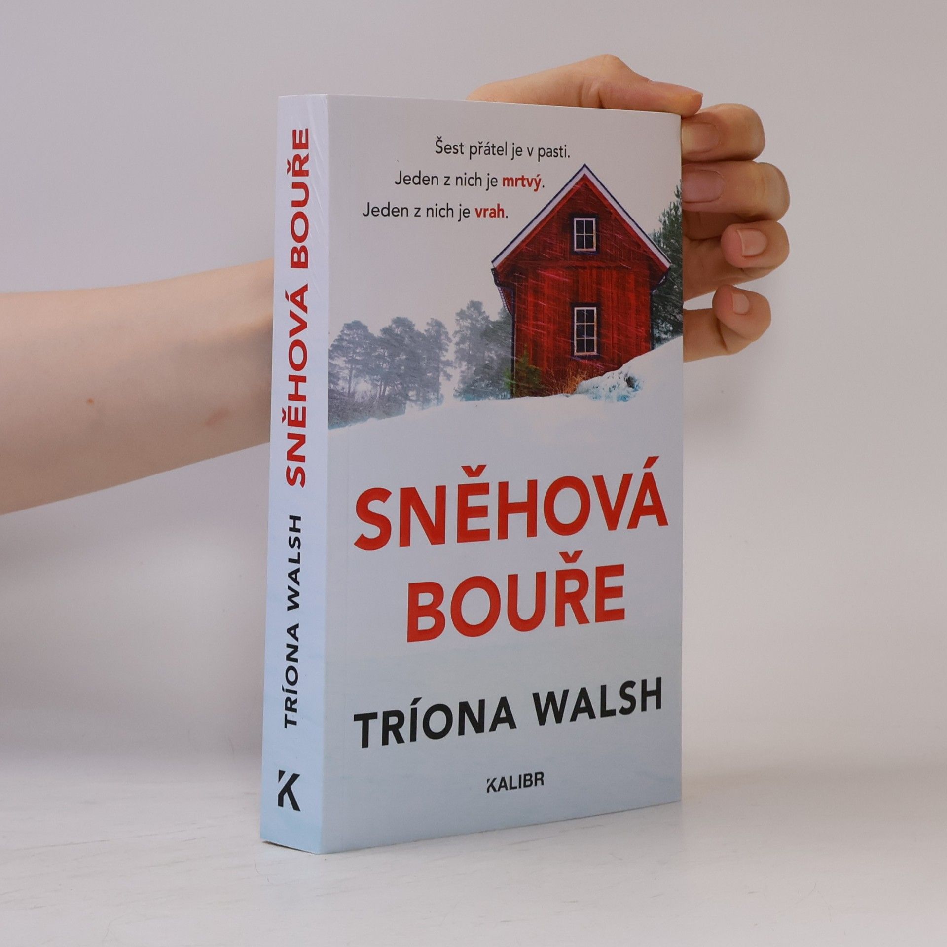 Tríona Walsh Sněhová bouře