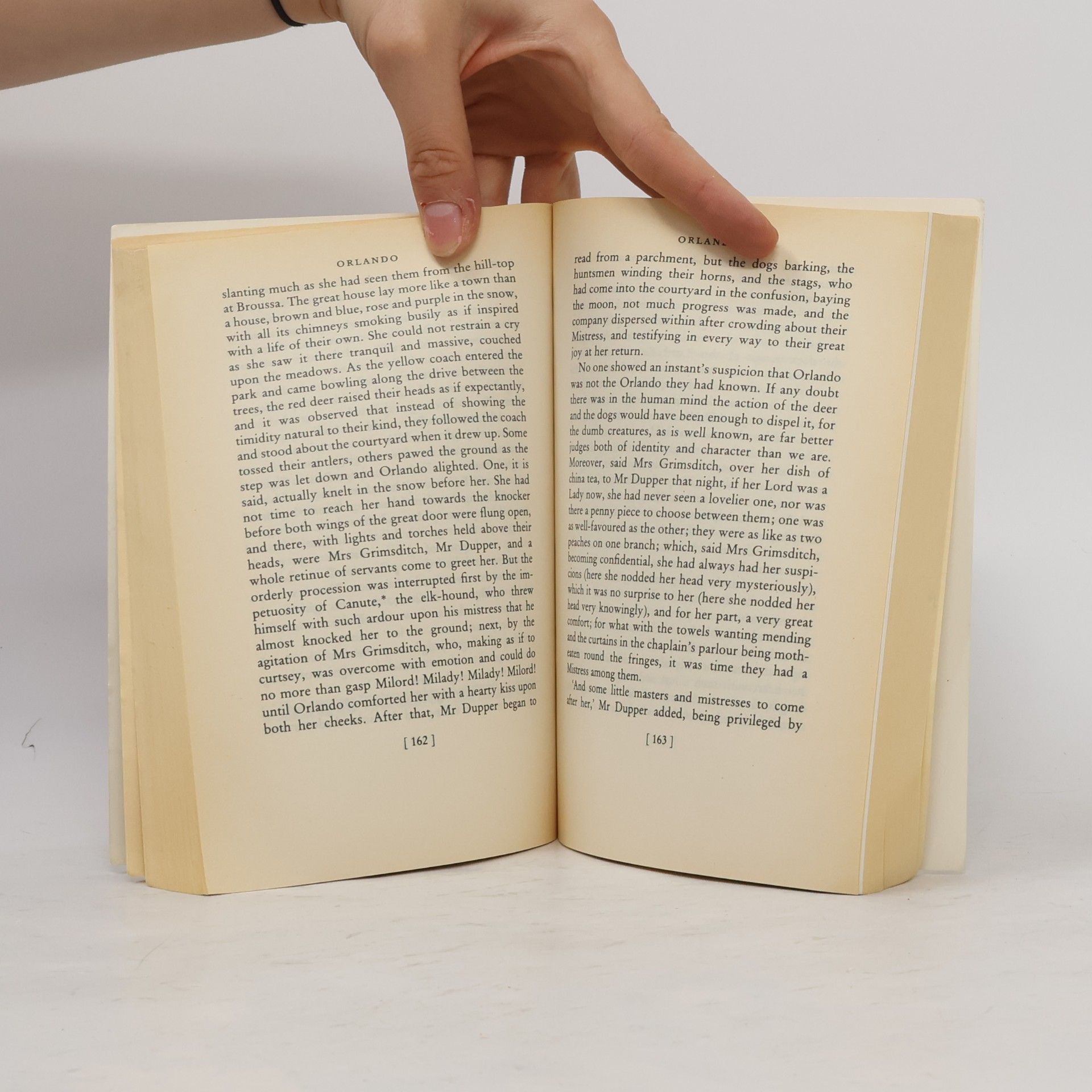 Virginia Woolf Orlando