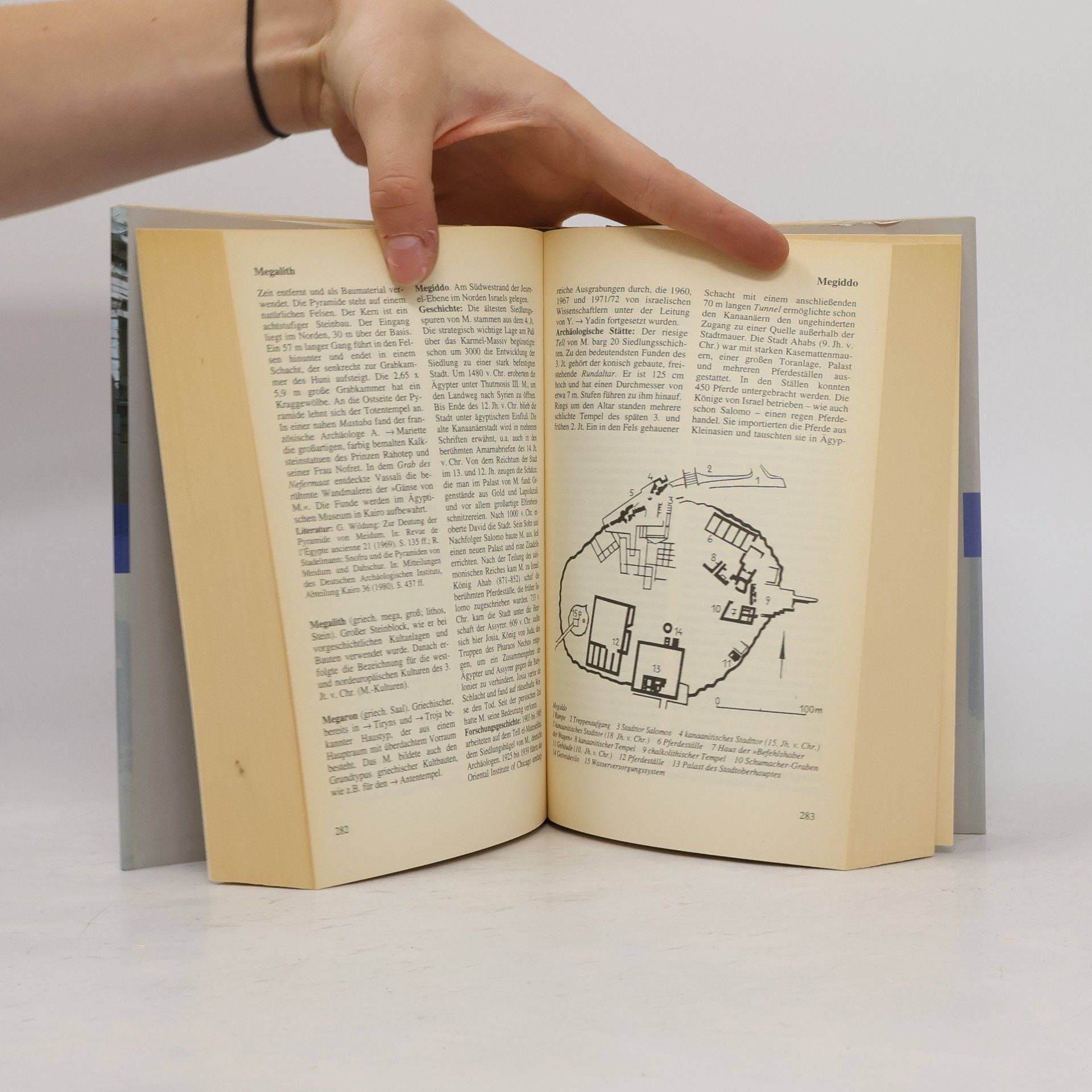 Andrea Gorys Wörterbuch Archäologie