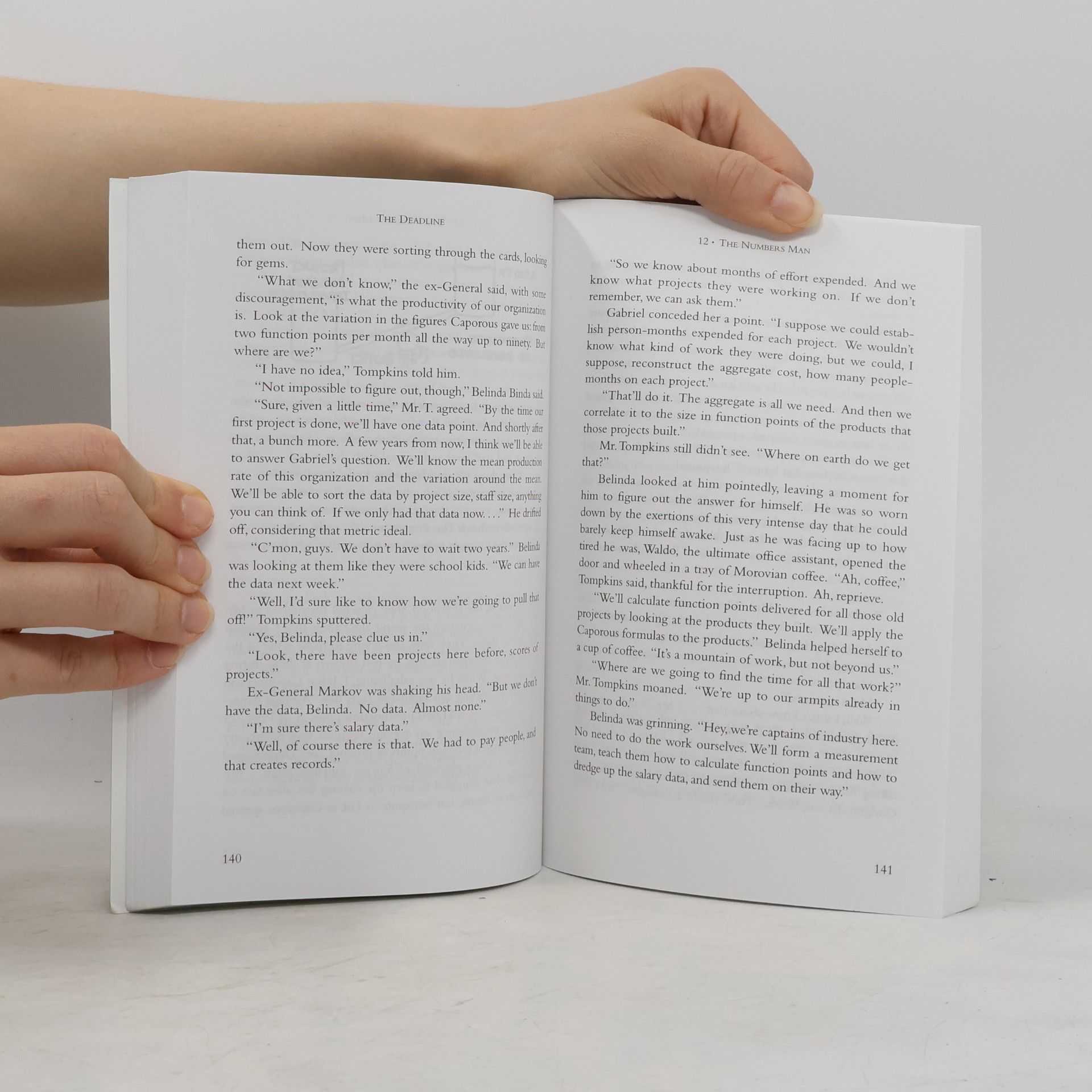 Tom DeMarco The Deadline. Der Termin, englische Ausgabe