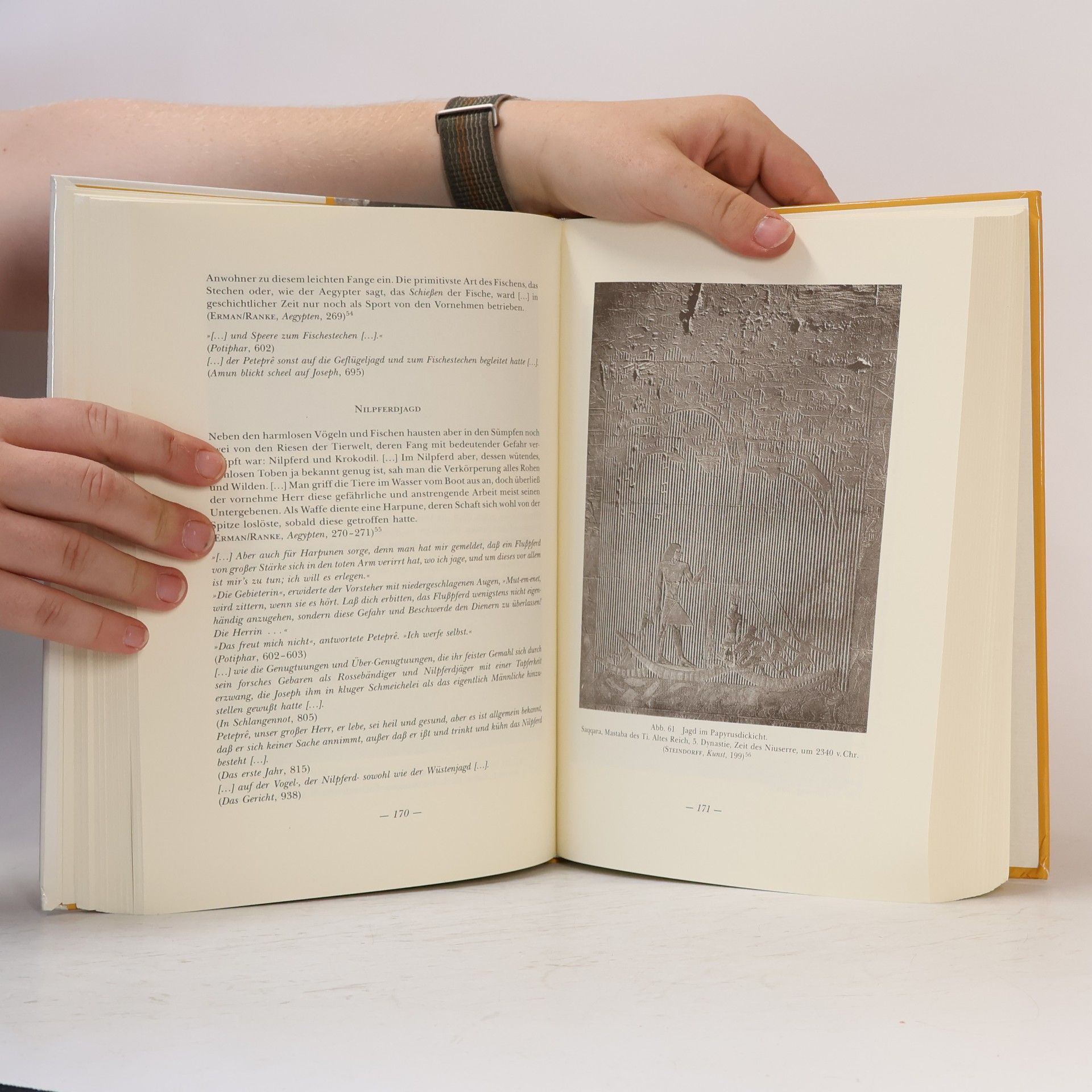 Alfred Grimm Joseph und Echnaton : Thomas Mann und Ägypten