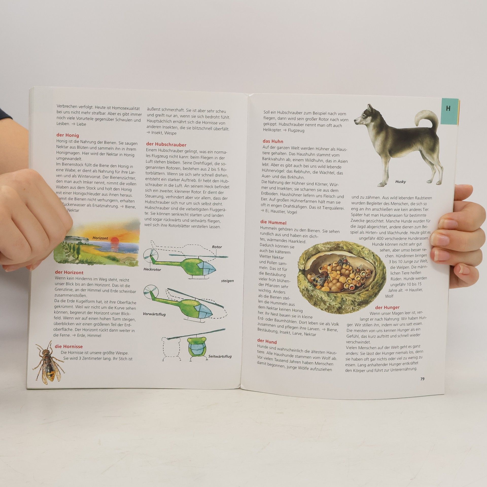 Various authors Das große Taschelexikon für die Grundschule von A-Z
