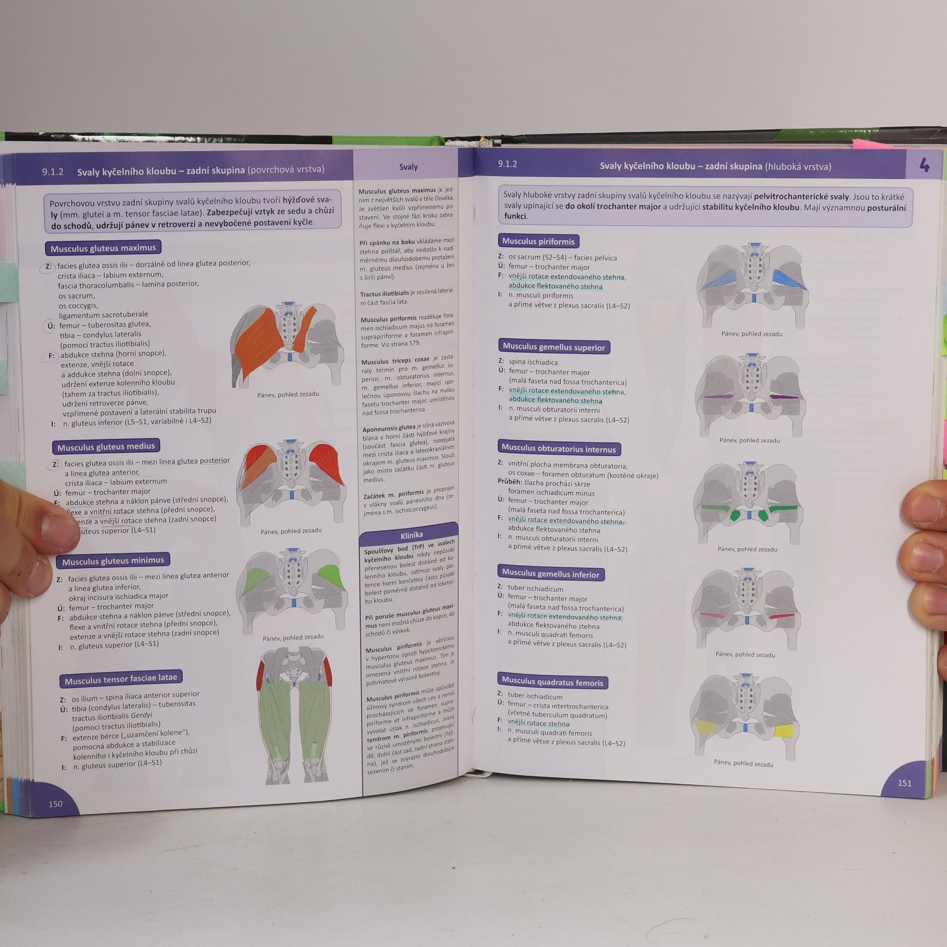 Radovan Hudák Memorix anatomie