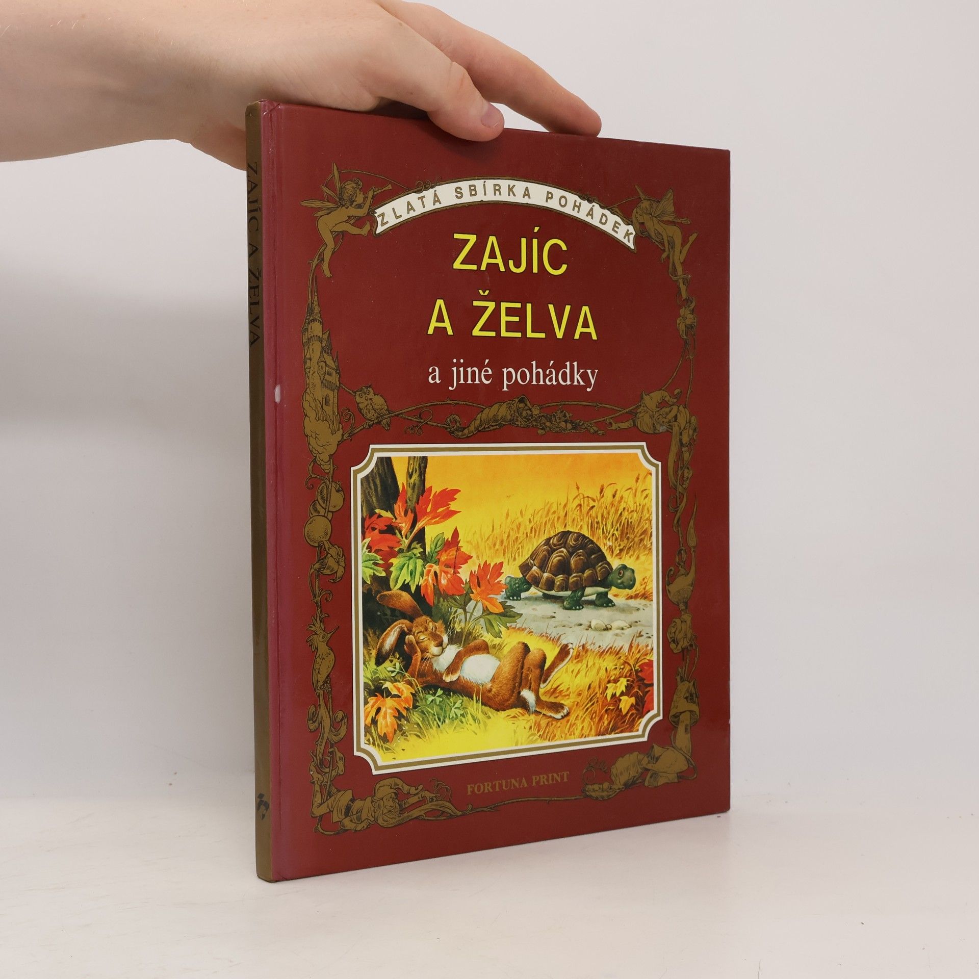Dušan Kubálek Zajíc a Želva