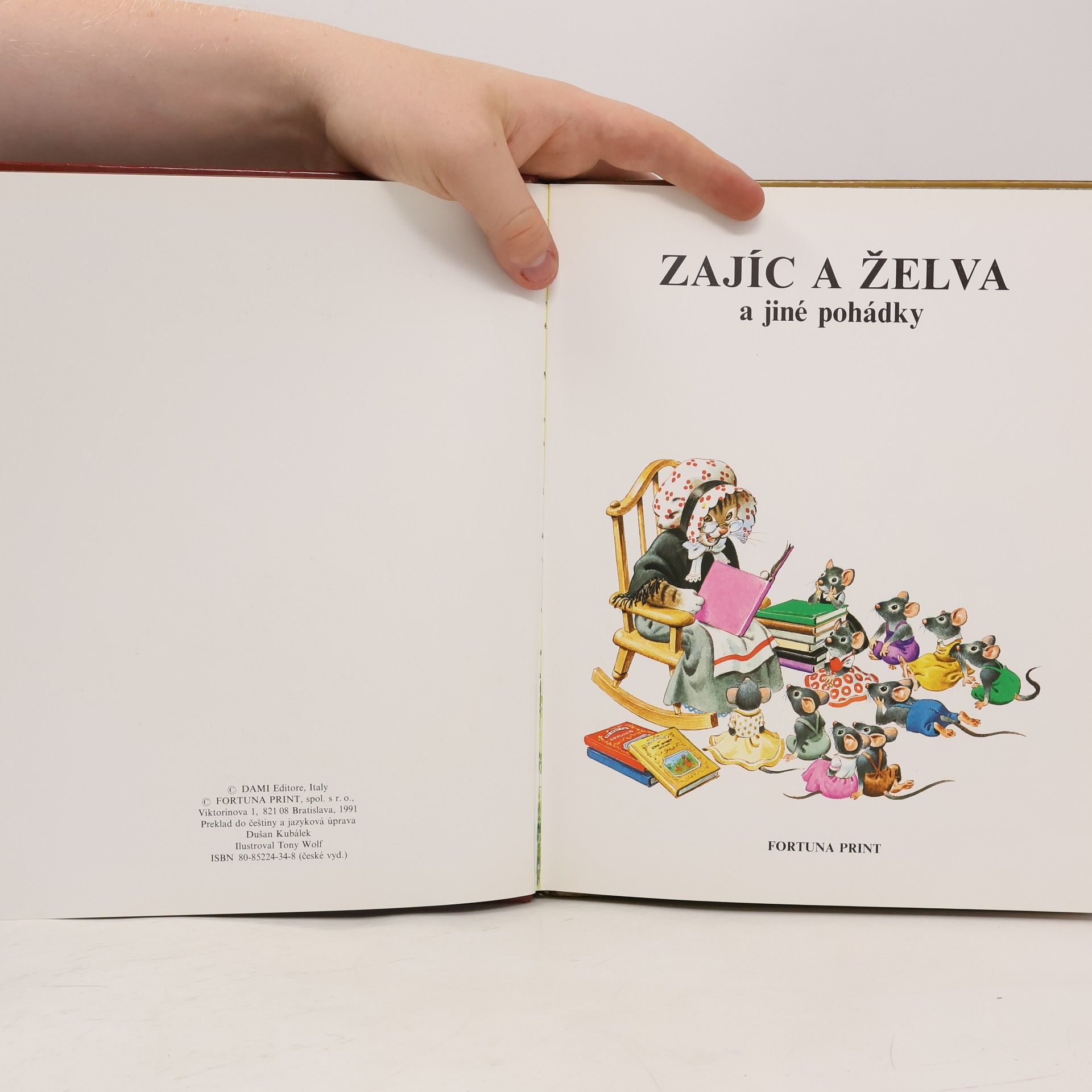 Dušan Kubálek Zajíc a Želva