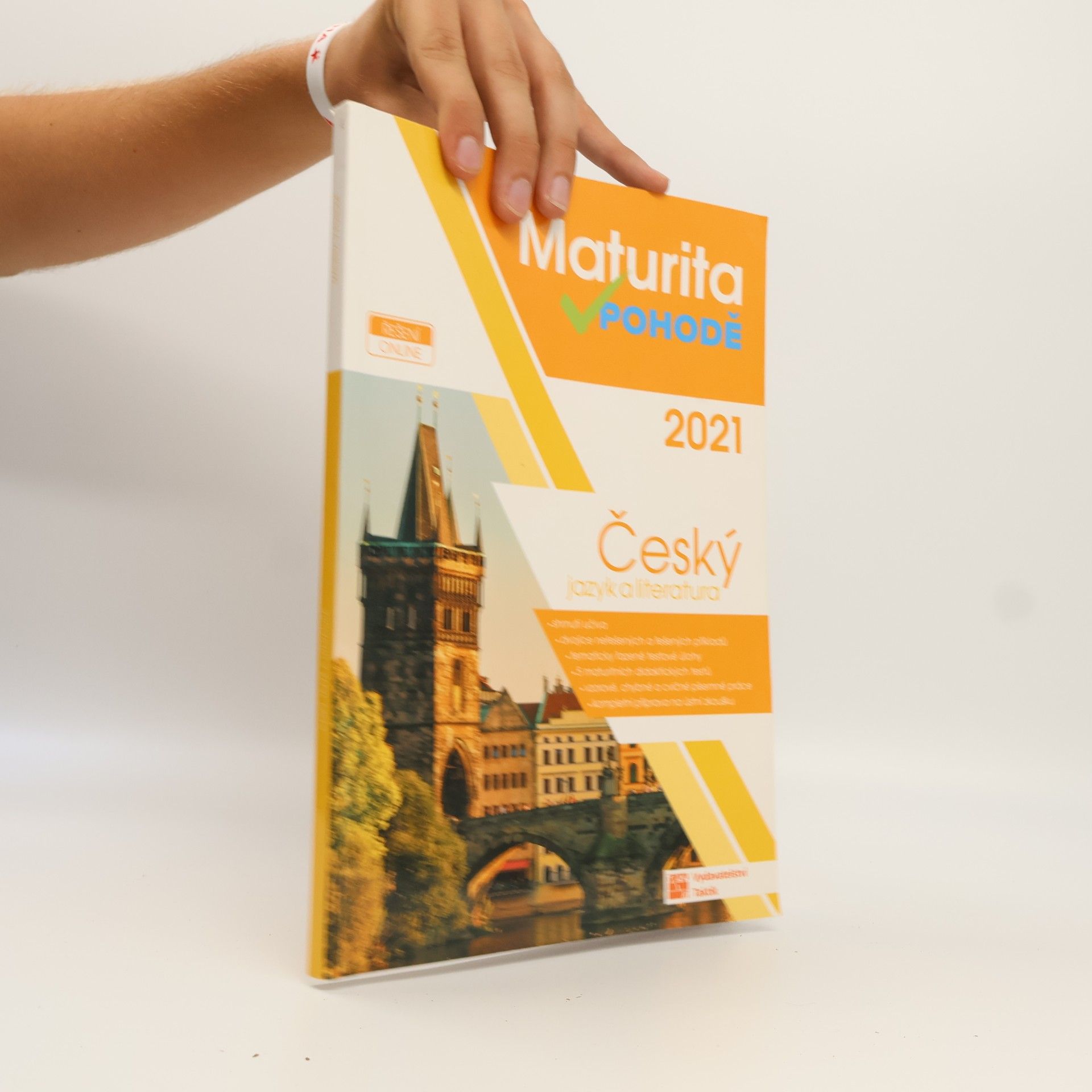 Collectif d'auteurs Maturita v pohodě. Český jazyk a literatura