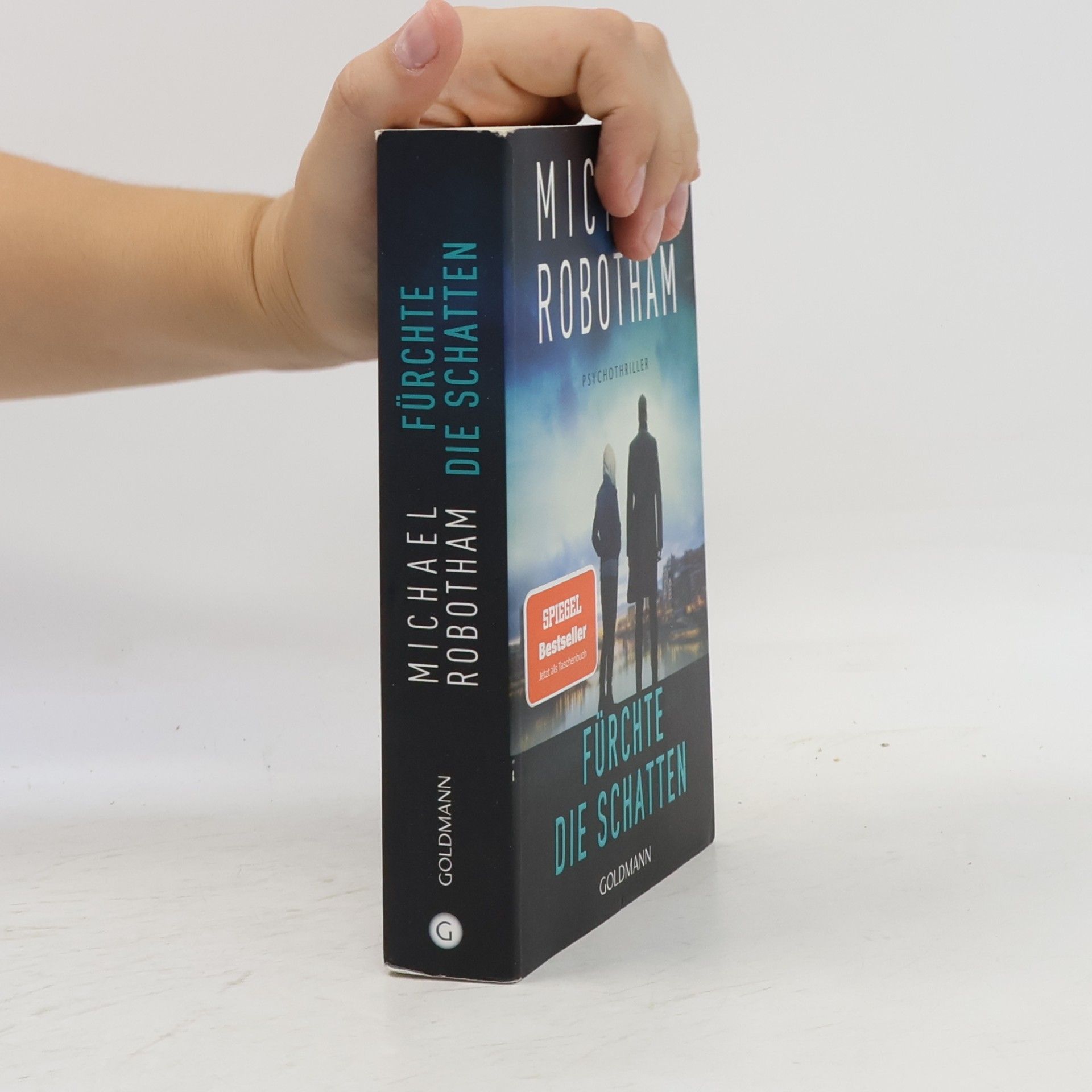 Michael Robotham Fürchte die Schatten