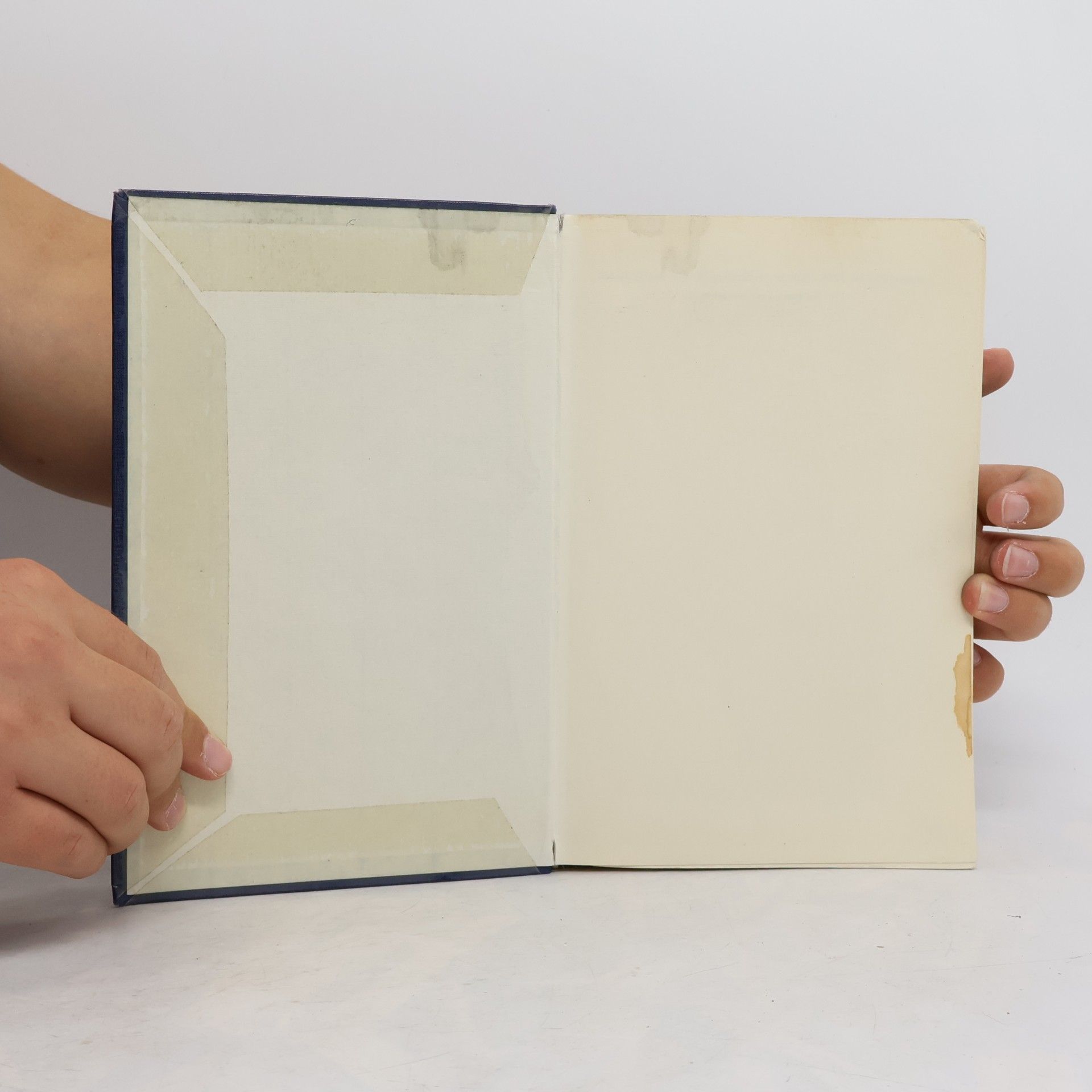 Ernst Bickel Geschichte der römischen Literatur