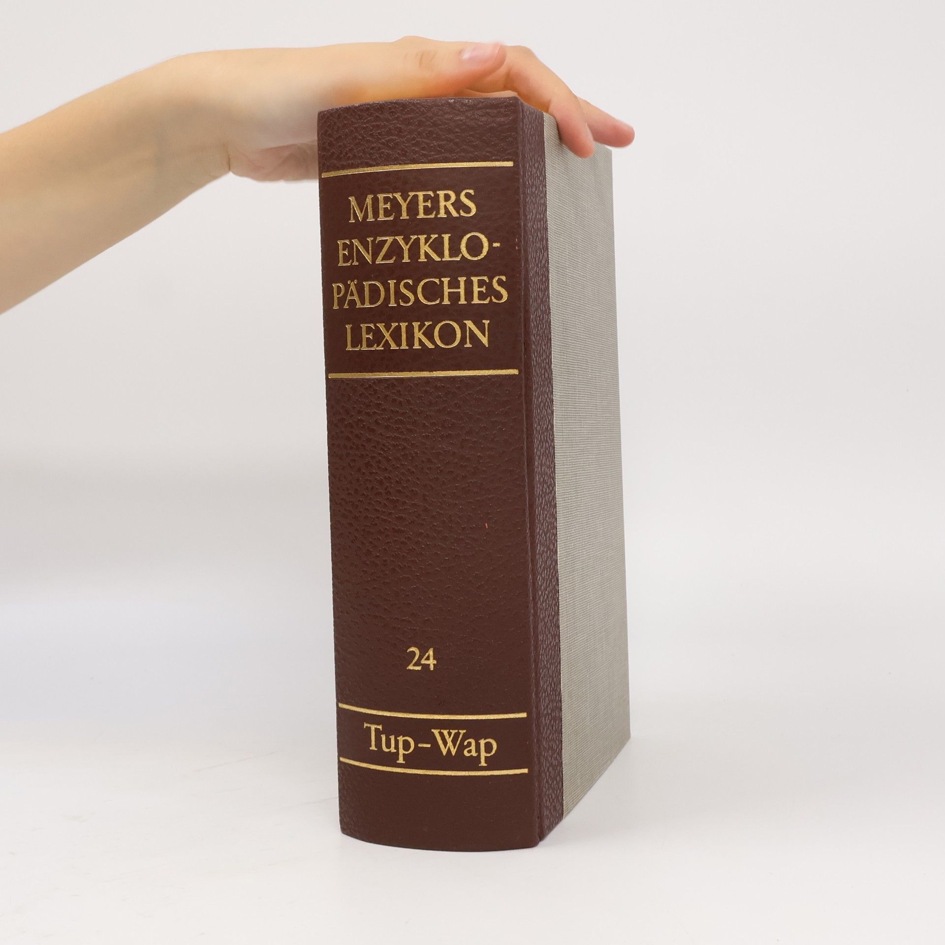 AA.VV. Meyers Enzyklopädisches Lexikon 24. Tup-Wap