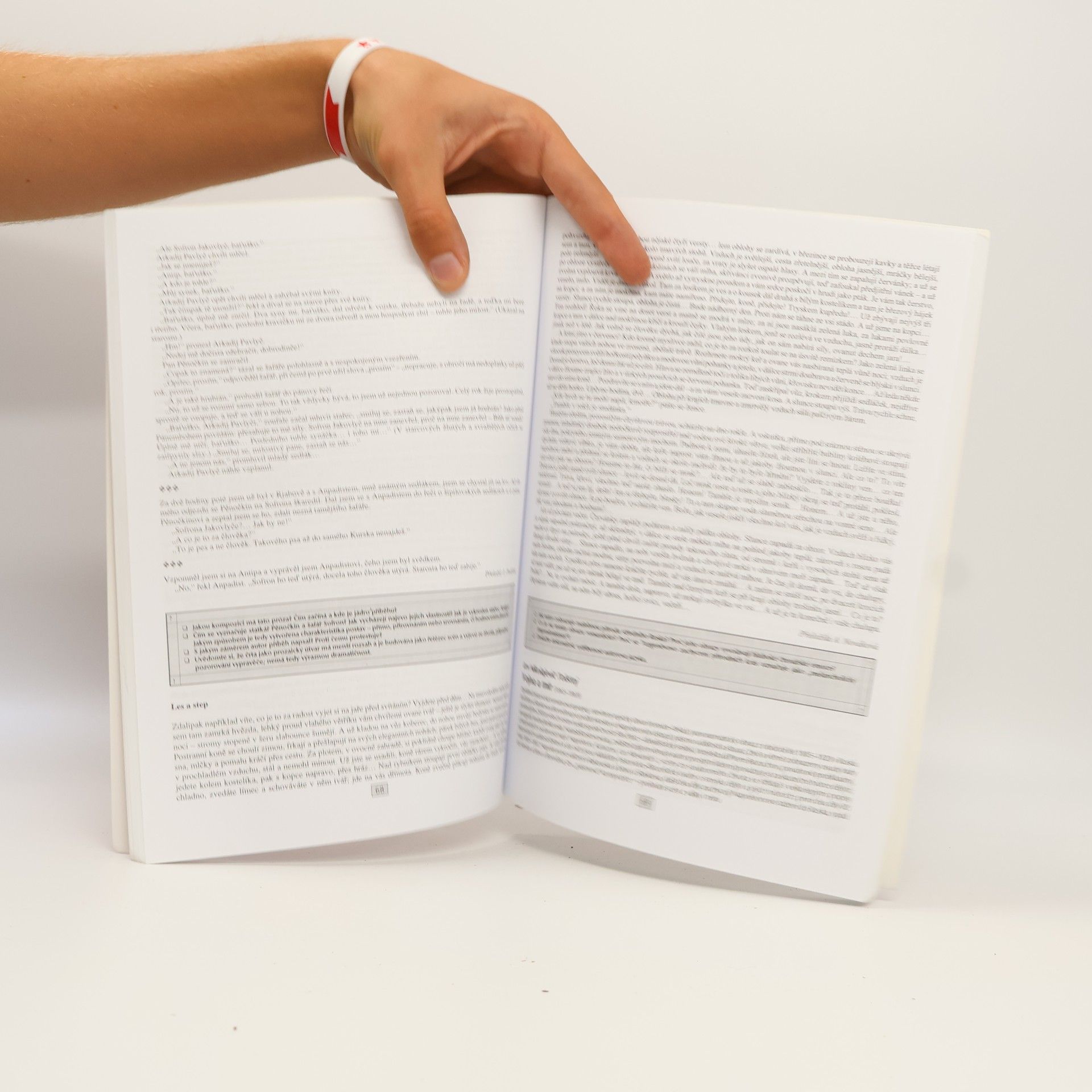 Marie Sochrová Čítanka k literatuře v kostce II