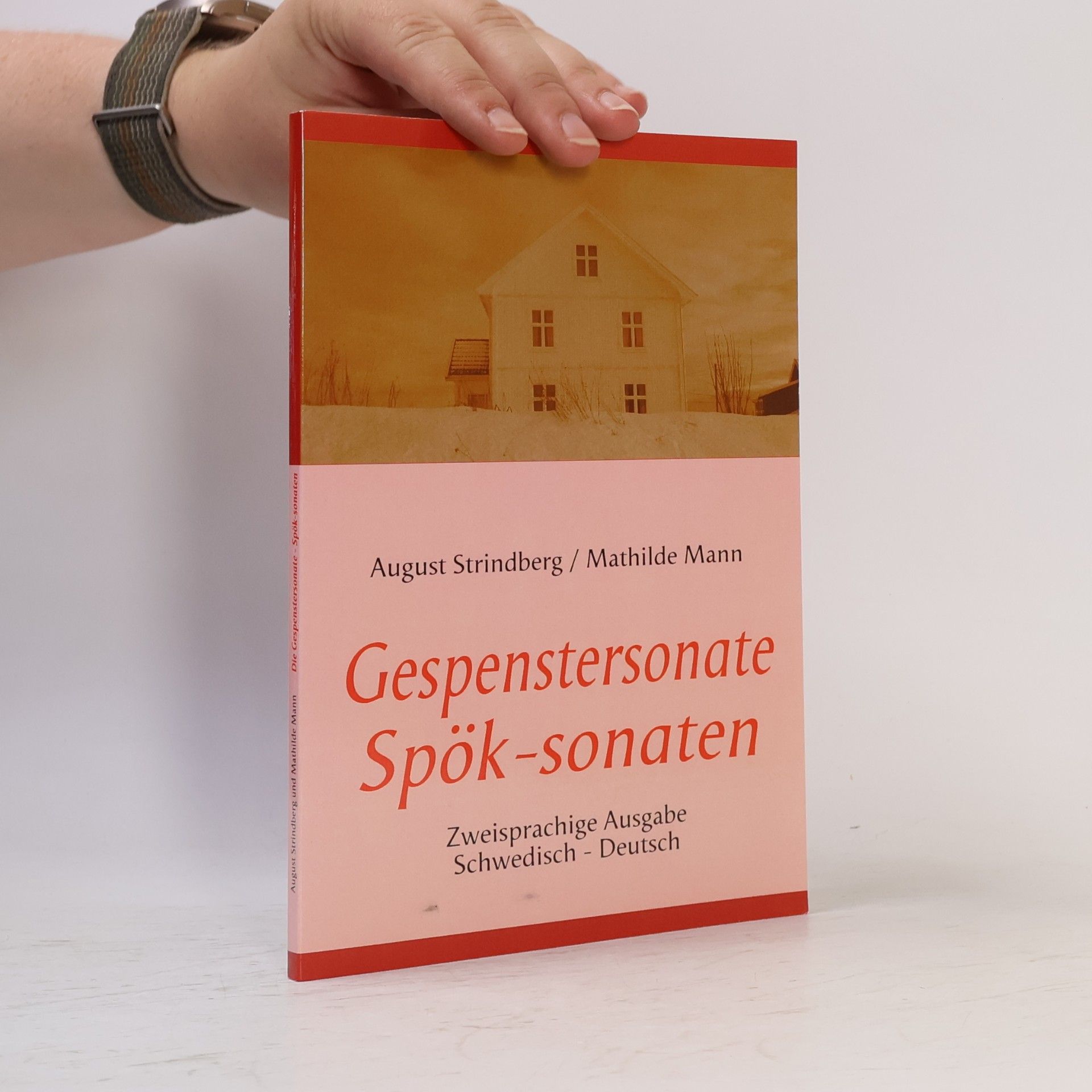 Die Gespenstersonate - Spök-sonaten