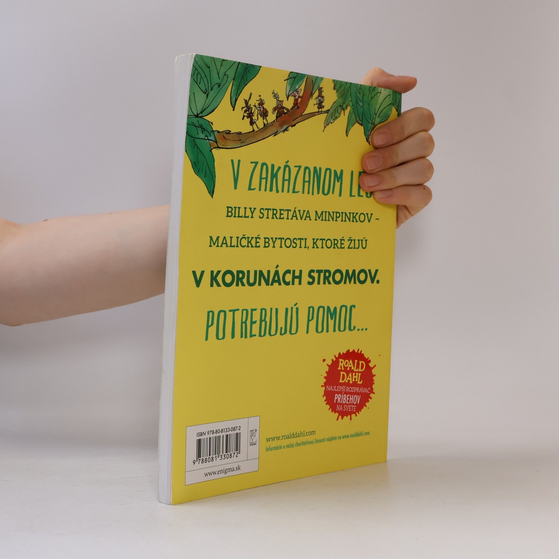 Roald Dahl Billy a Minpinkovia