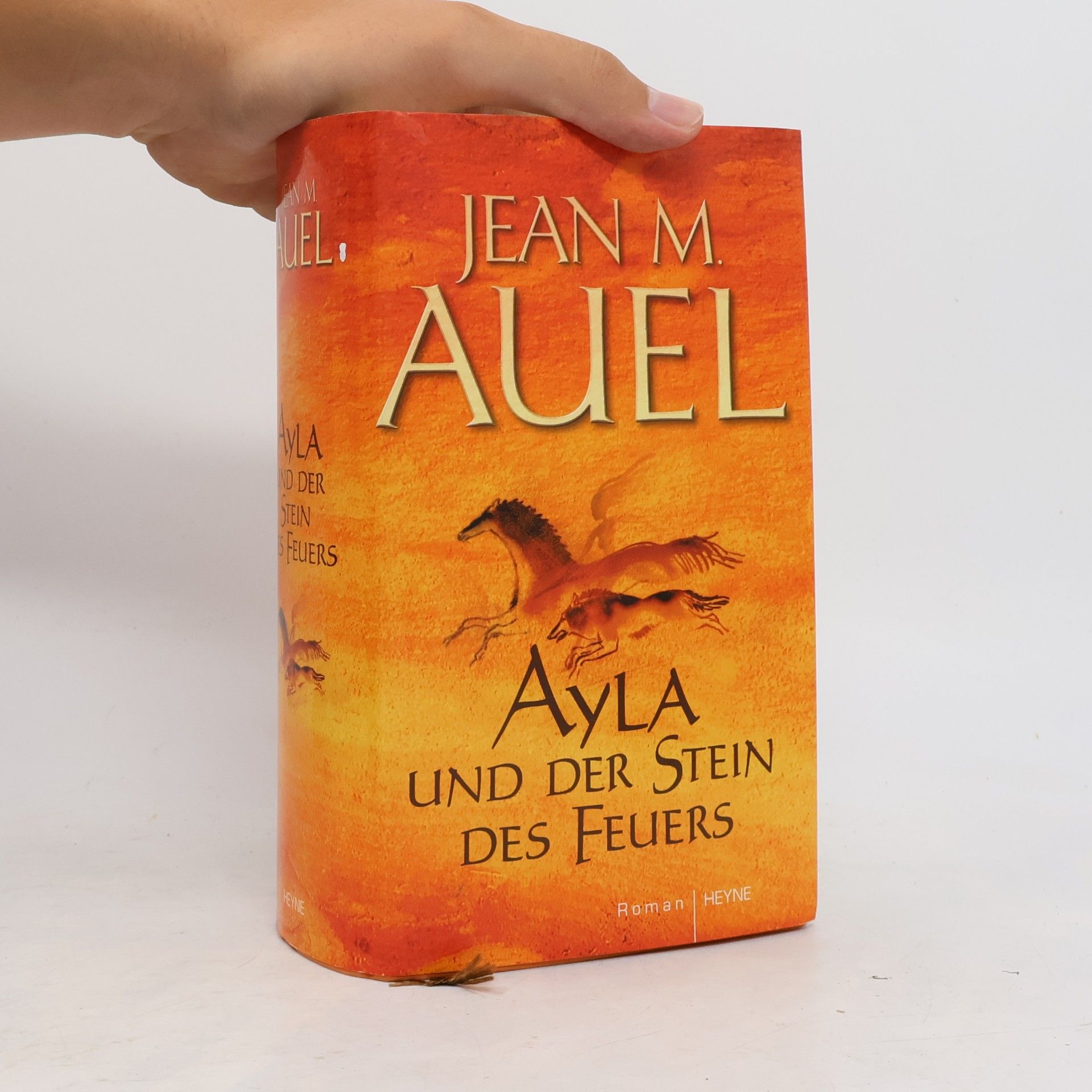 Jean M. Auelová Ayla und der Stein des Feuers