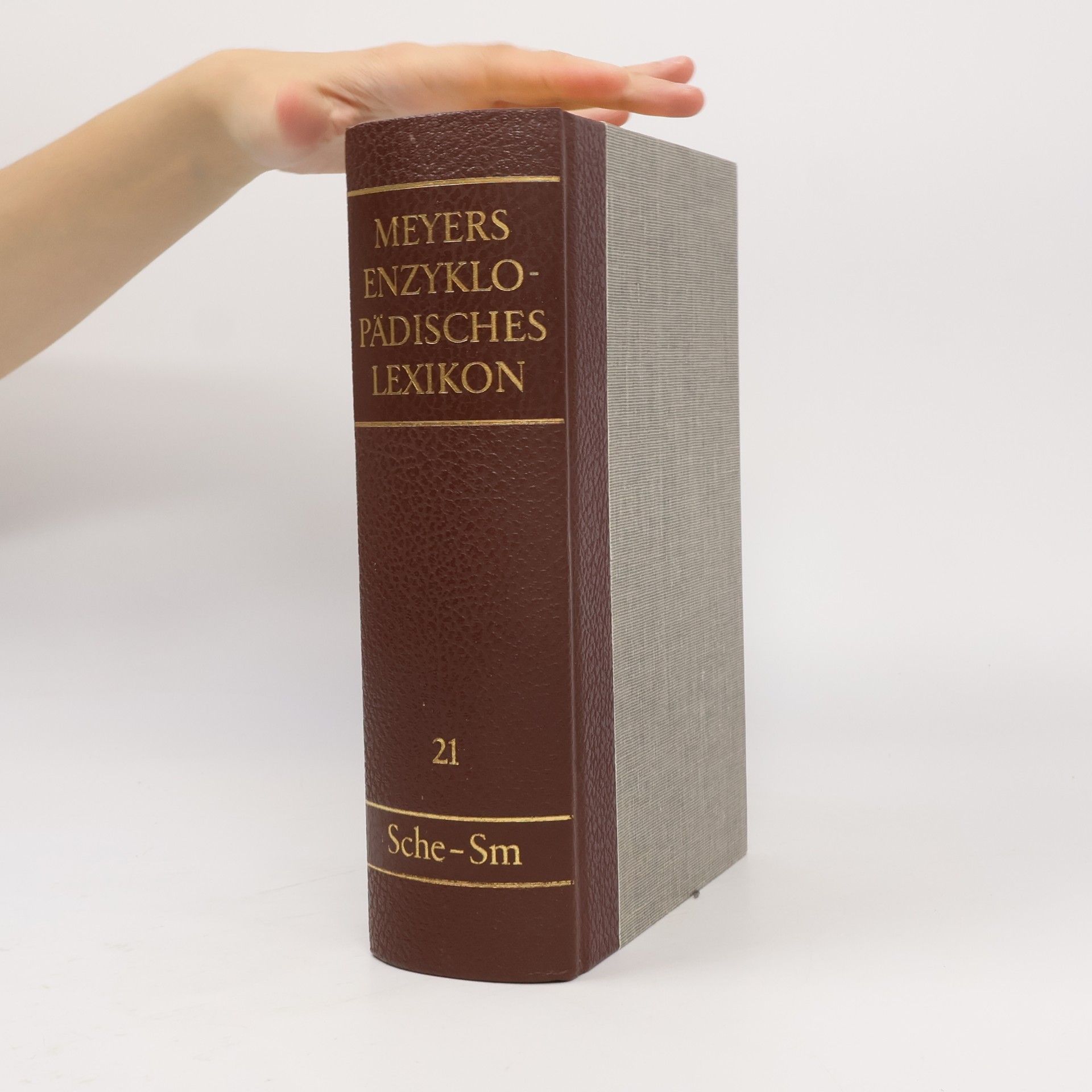 AA.VV. Meyers Enzyklopädisches Lexikon 21. Sche-Sm