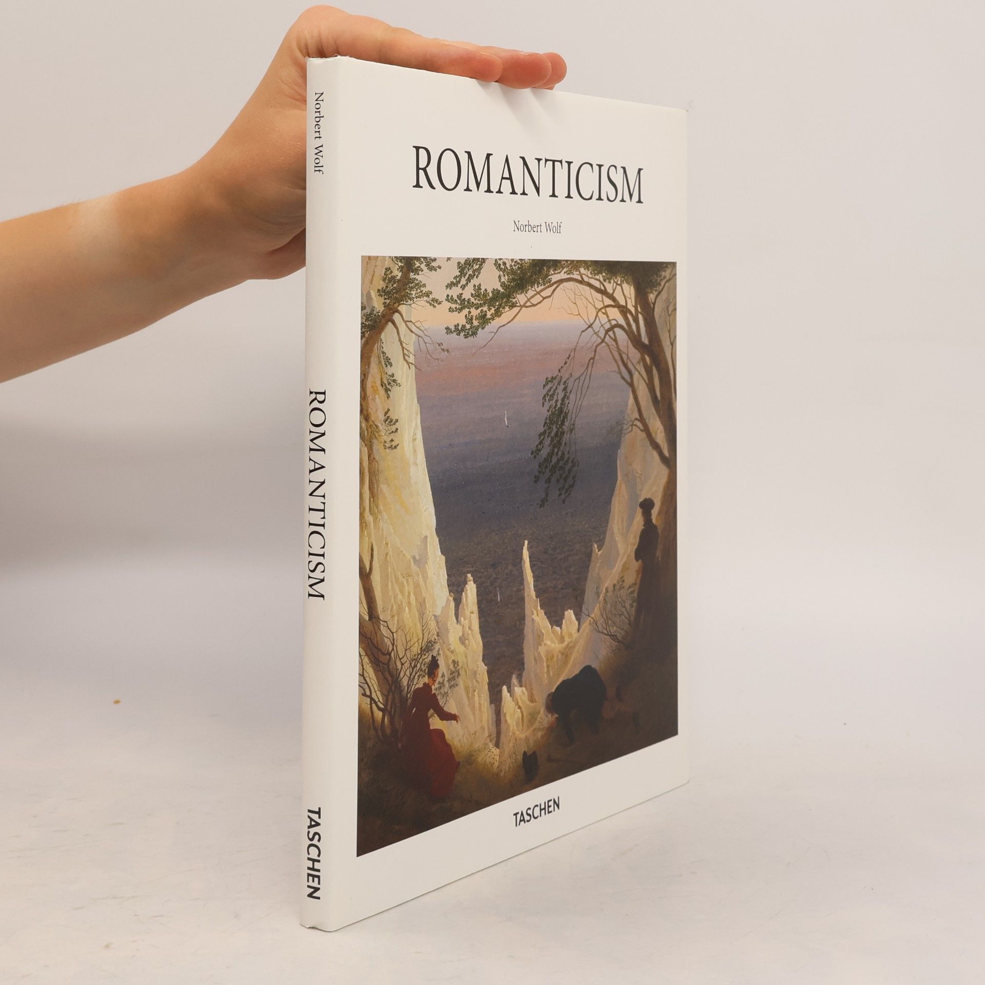 Norbert Wolf Romanticism