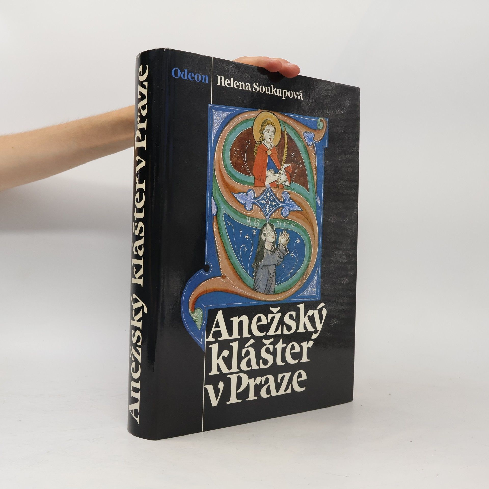 Helena Soukupová Anežský klášter v Praze