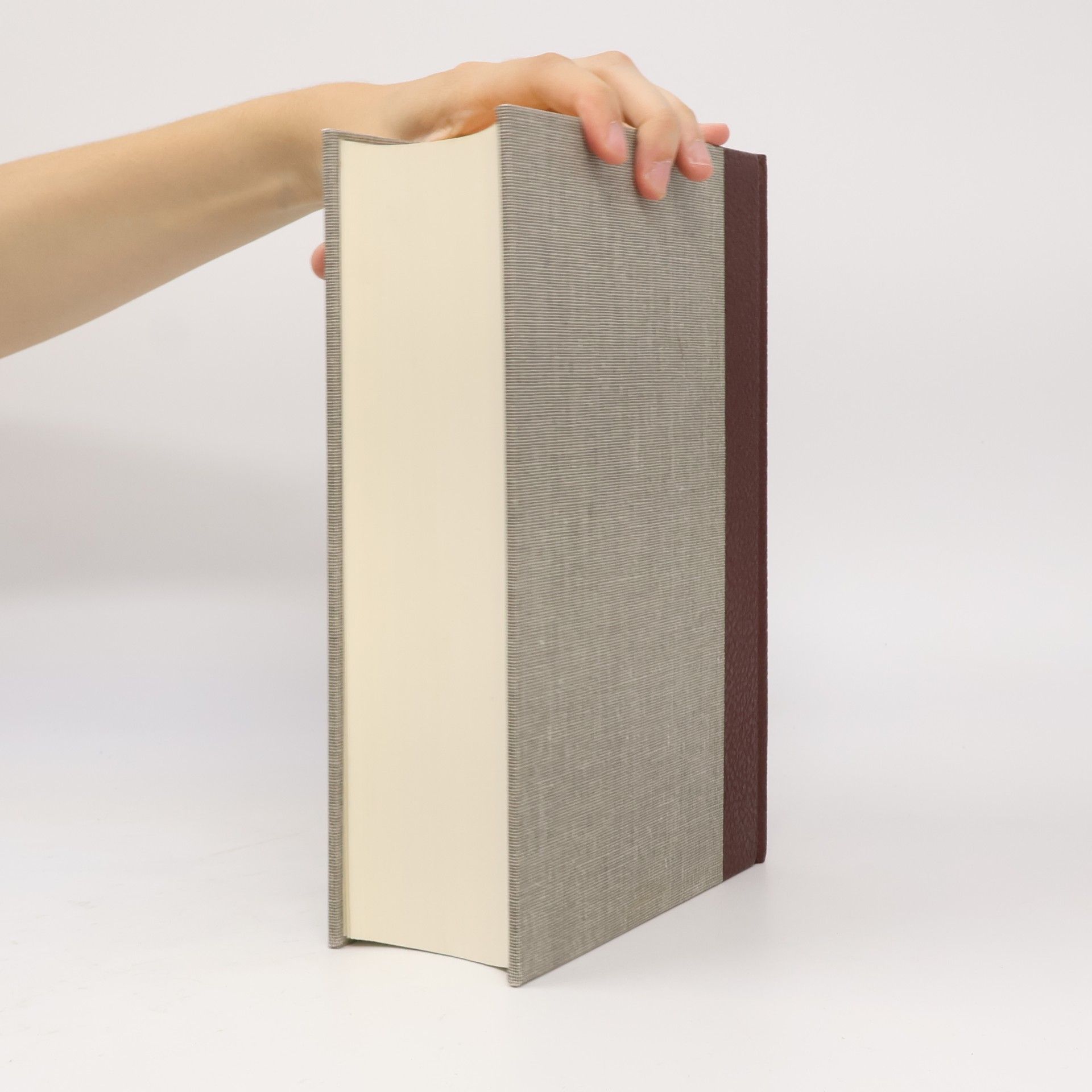 Various authors Meyers Enzyklopädisches Lexikon 20. Rend-Schd