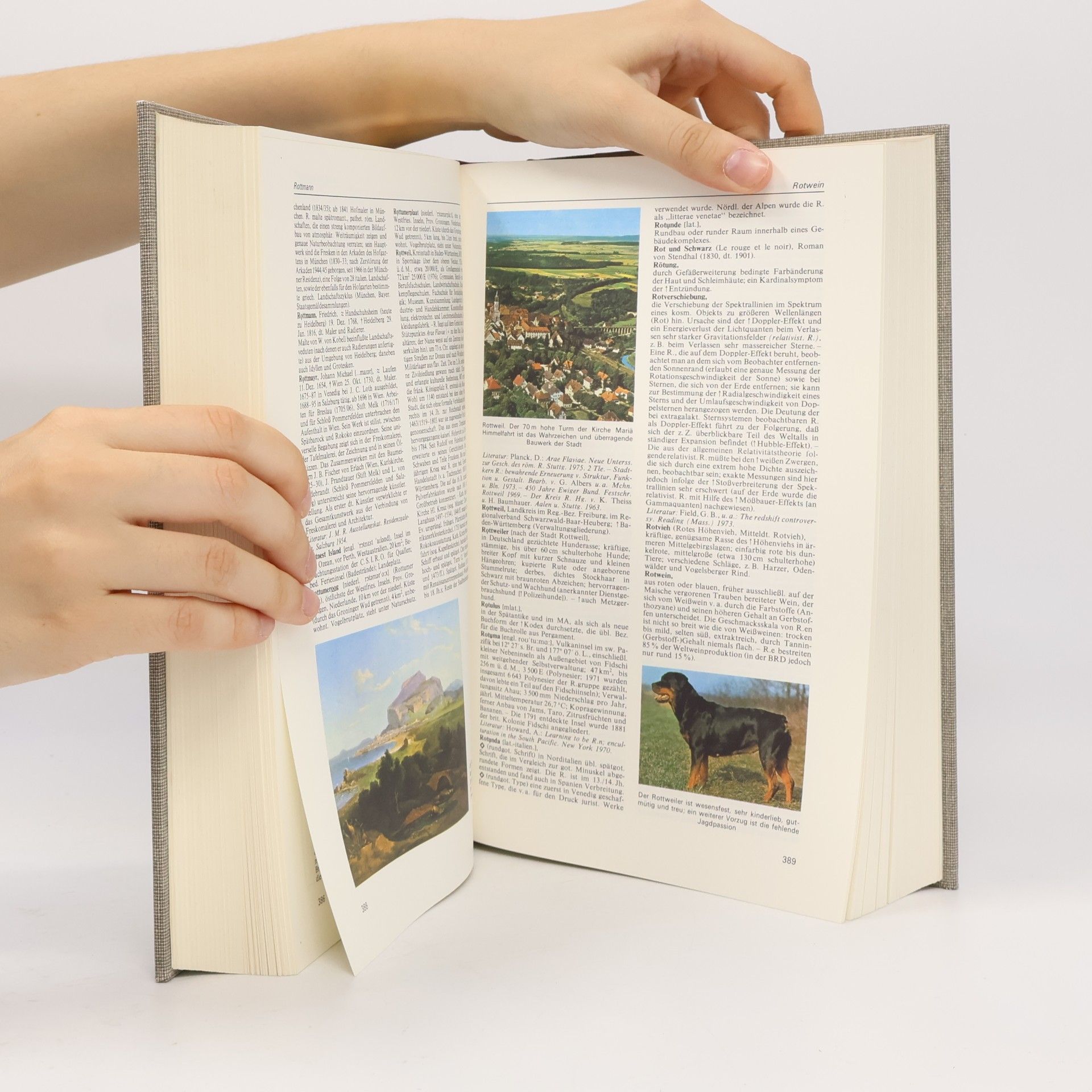 Various authors Meyers Enzyklopädisches Lexikon 20. Rend-Schd