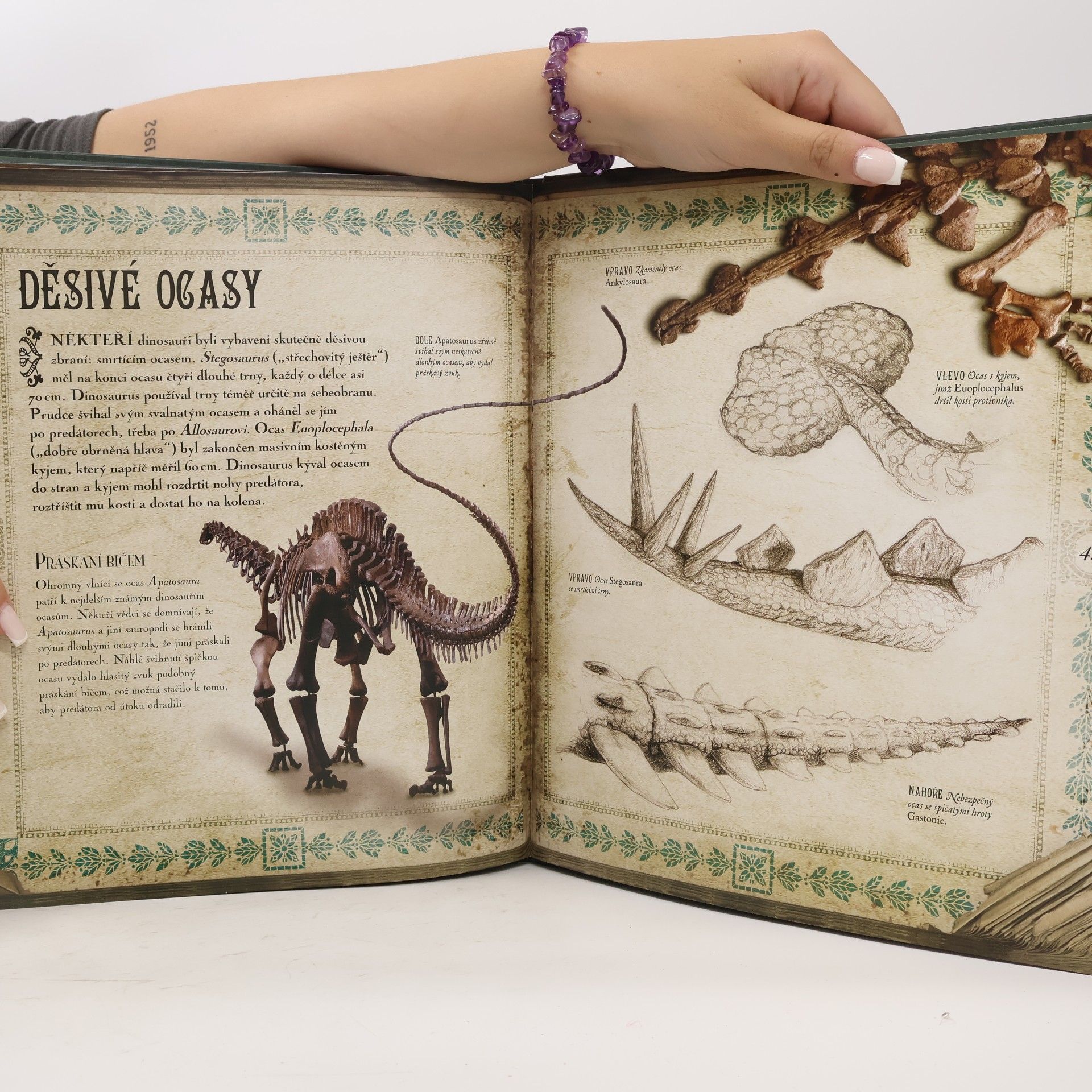 Archie Blackwell Svět dinosaurů