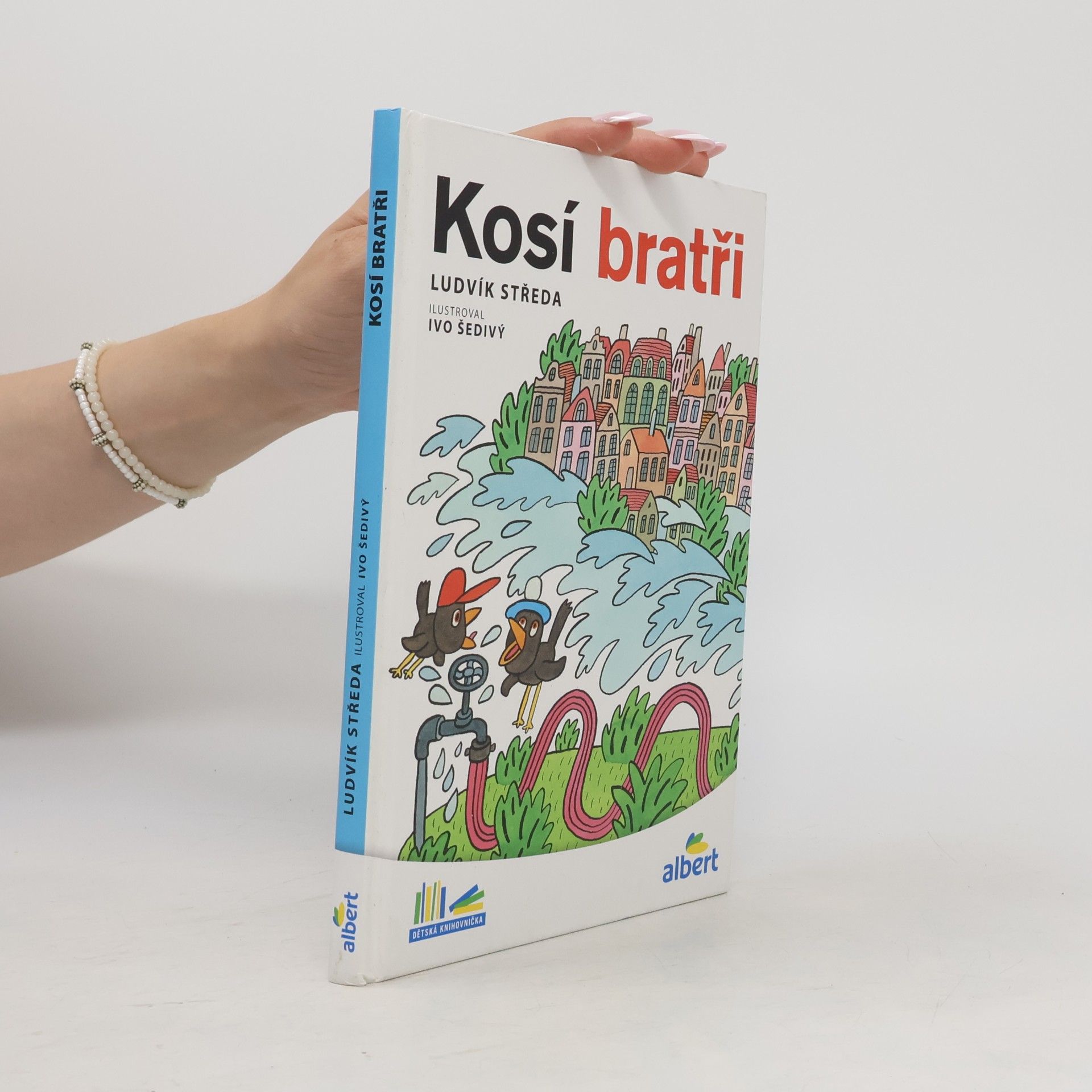Ludvík Středa Kosí bratři