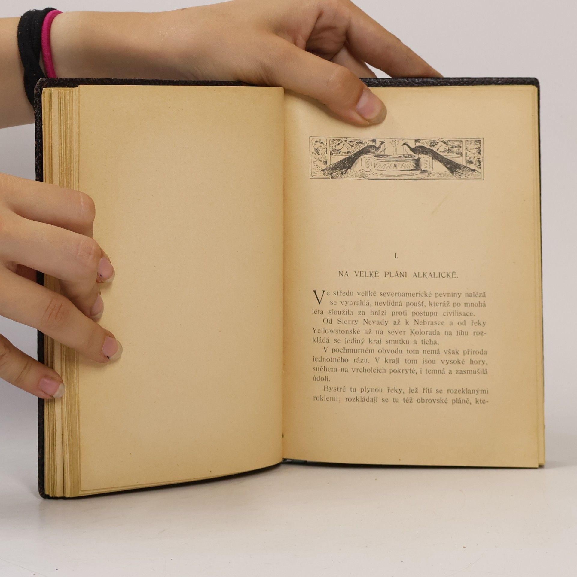 Arthur Conan Doyle Mstitel