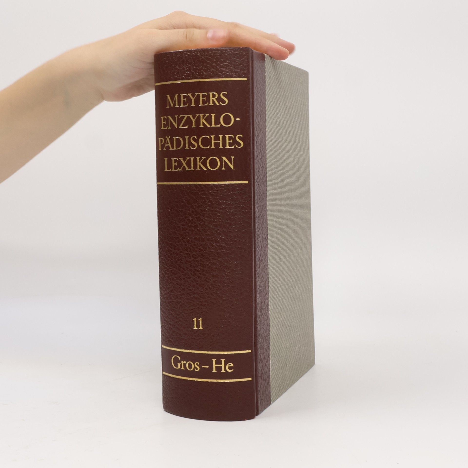 AA.VV. Meyers Enzyklopädisches Lexikon 11. Gros-He