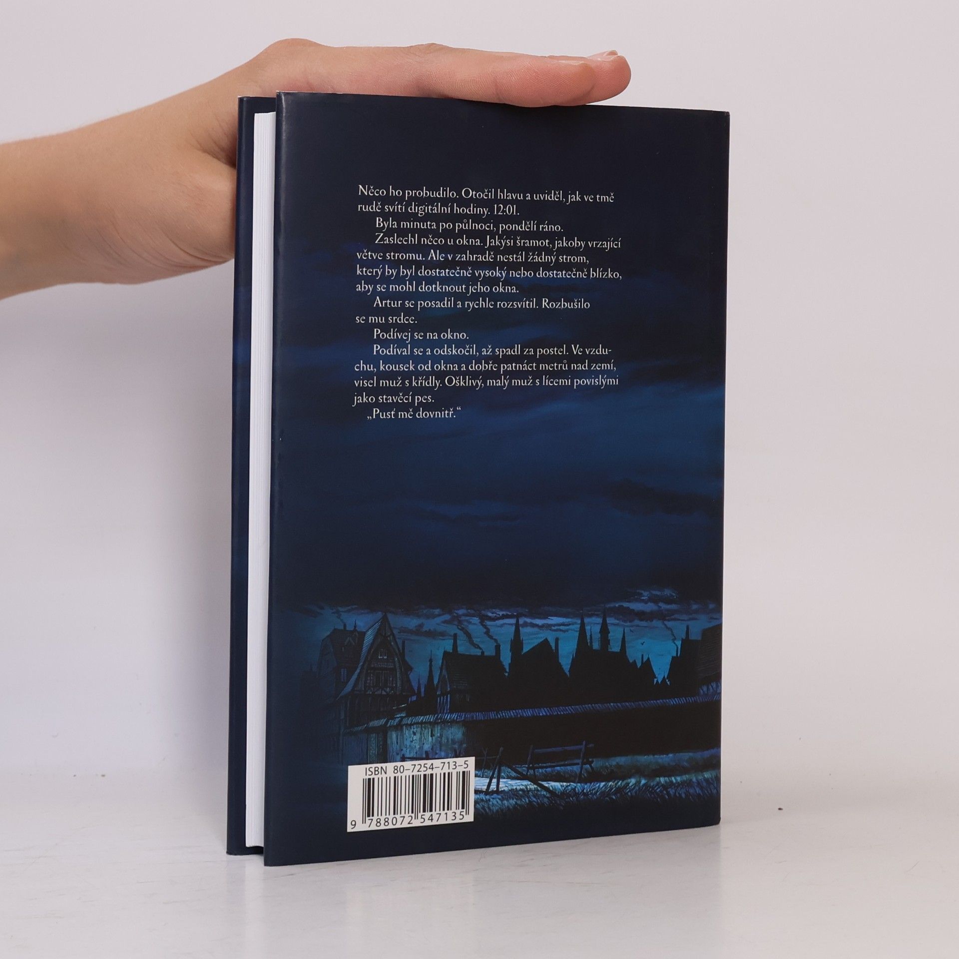 Garth Nix Pan Pondělí. Klíče od Království (kniha 1.)