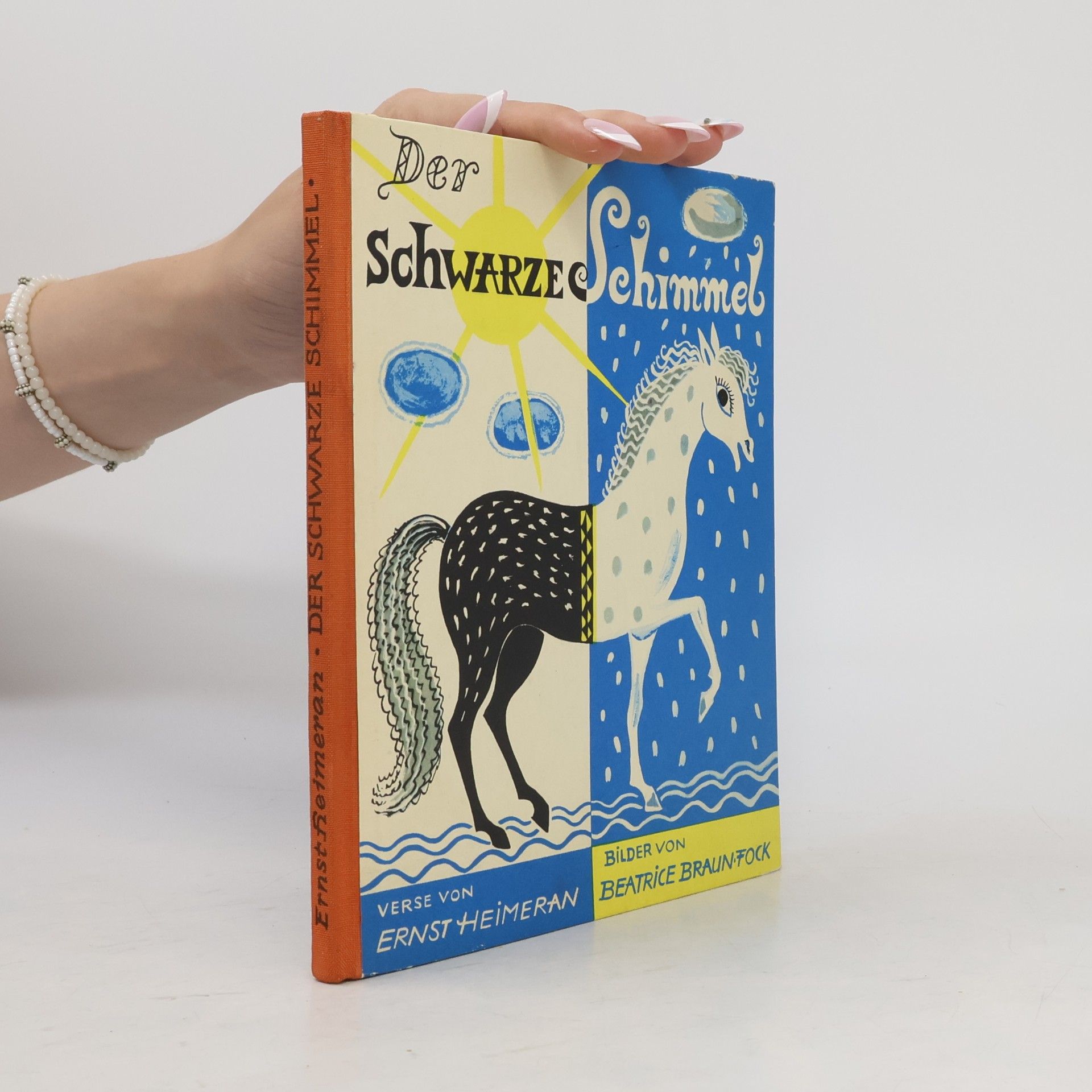 Autorenkollektiv Der schwarze Schimmel