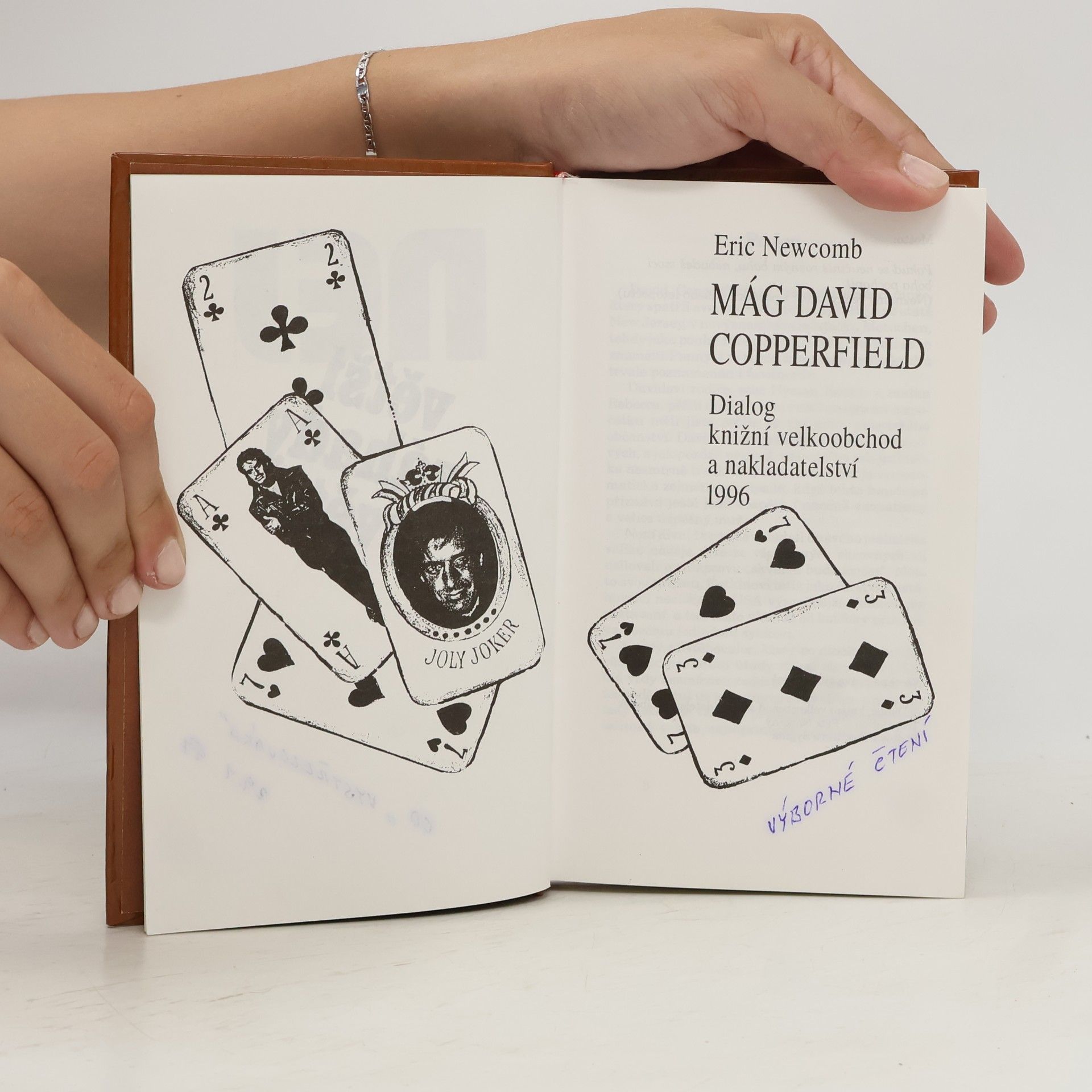 Eric Newcomb Největší záhady světa. Mág David Copperfield